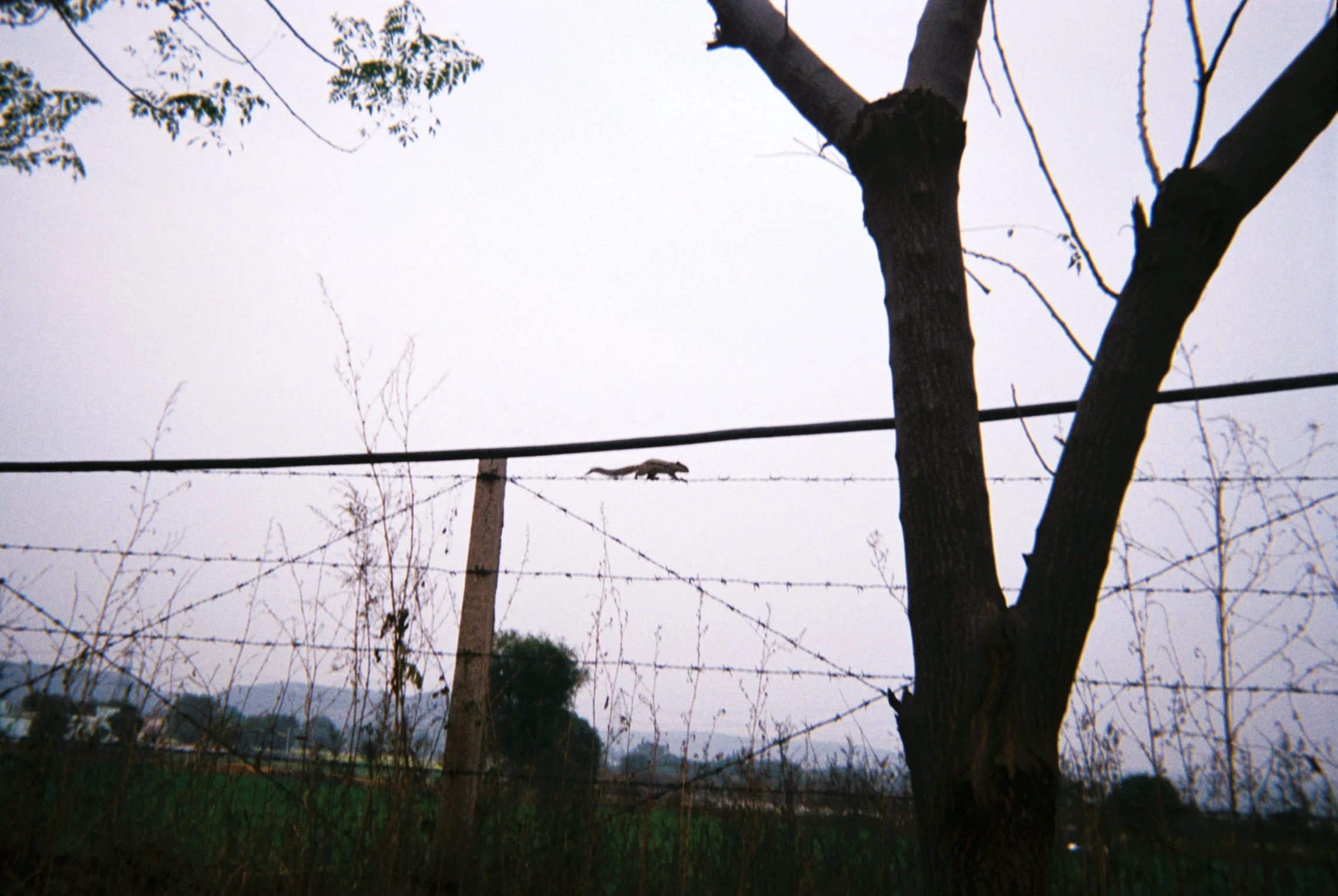 home sweet home_019.jpg