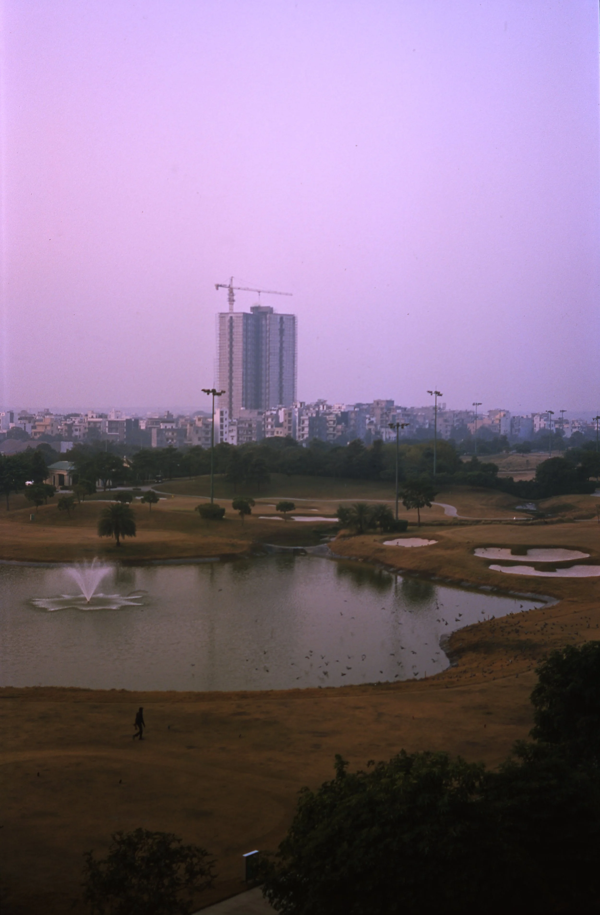 delhi007.jpg