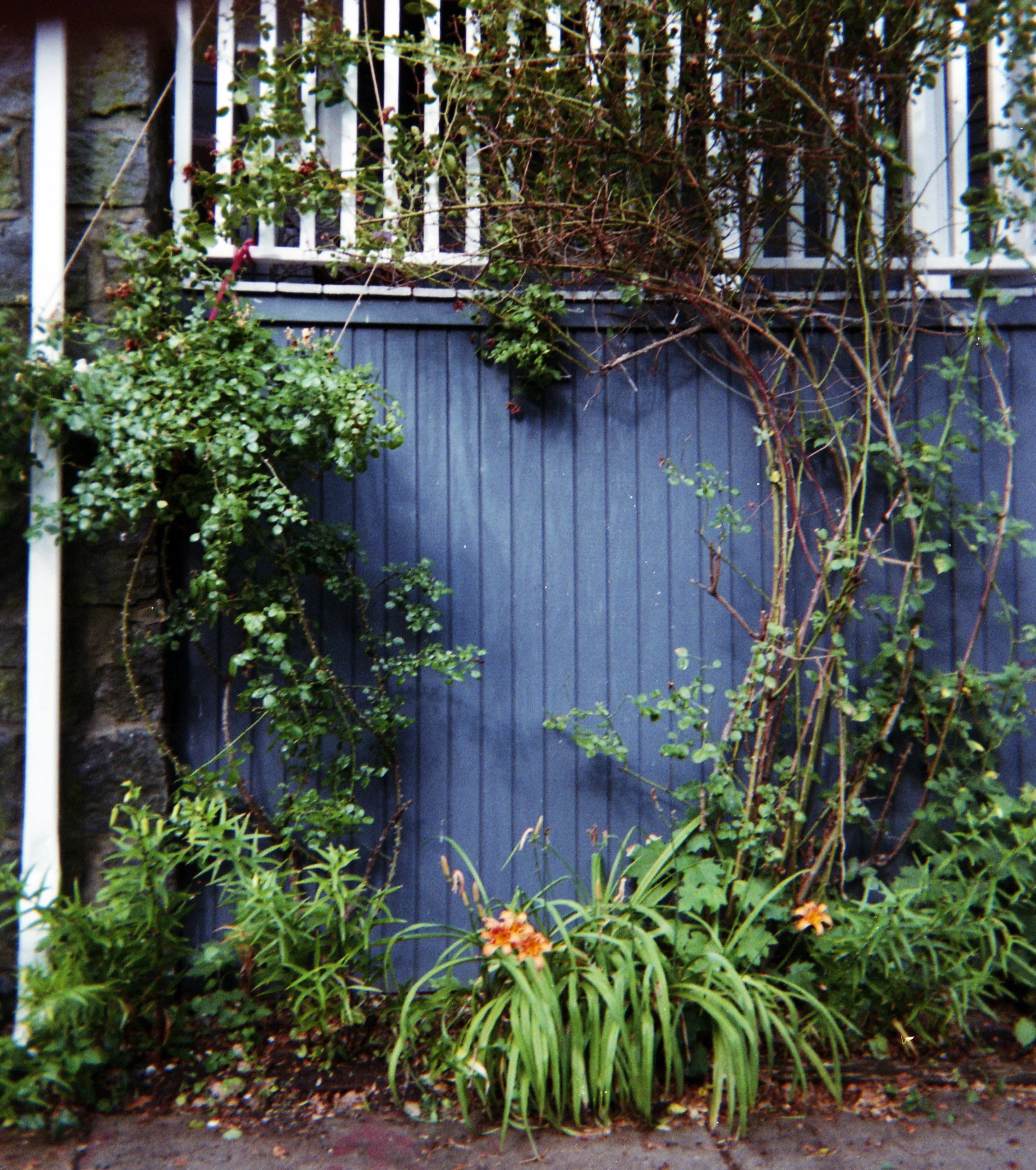 neighbourhood romance004.jpg