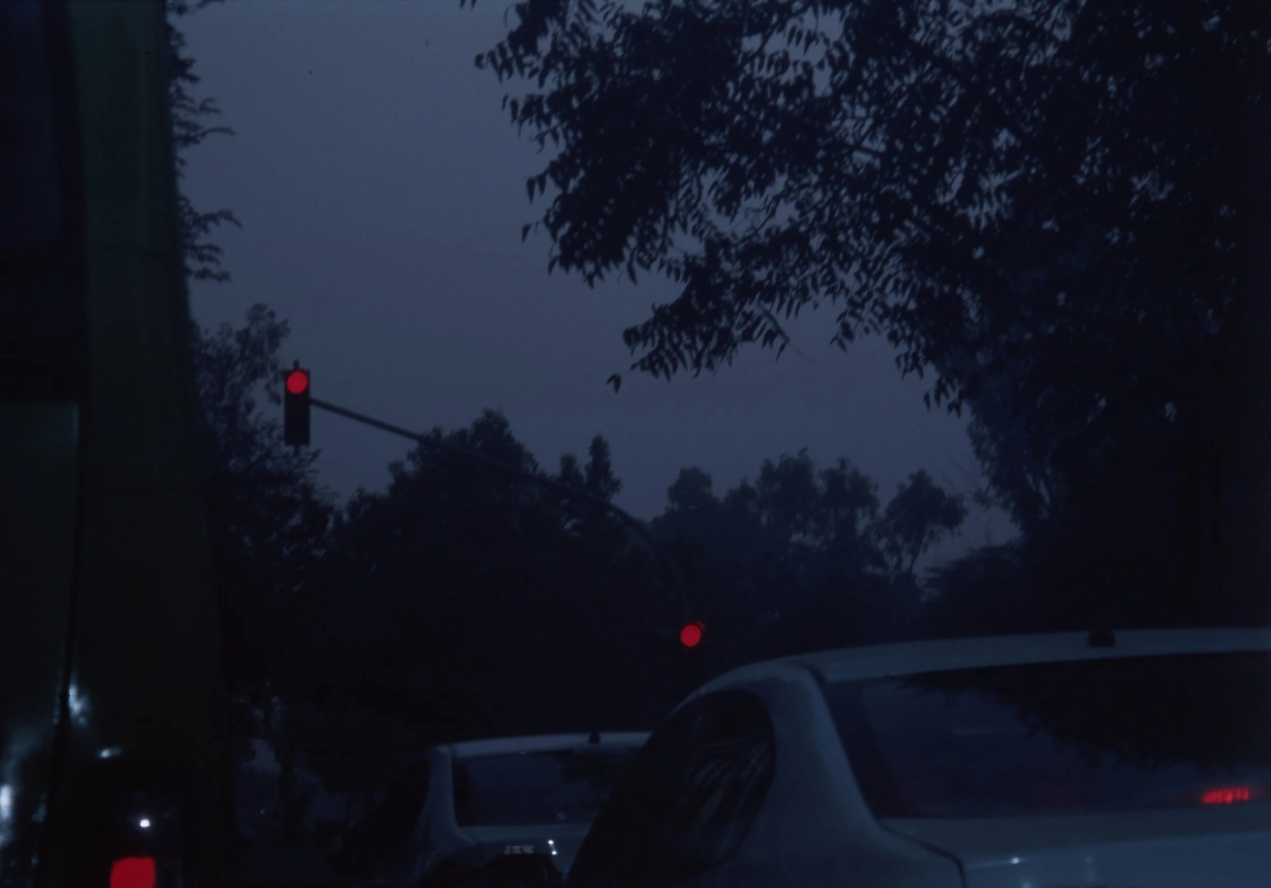 delhi029.jpg