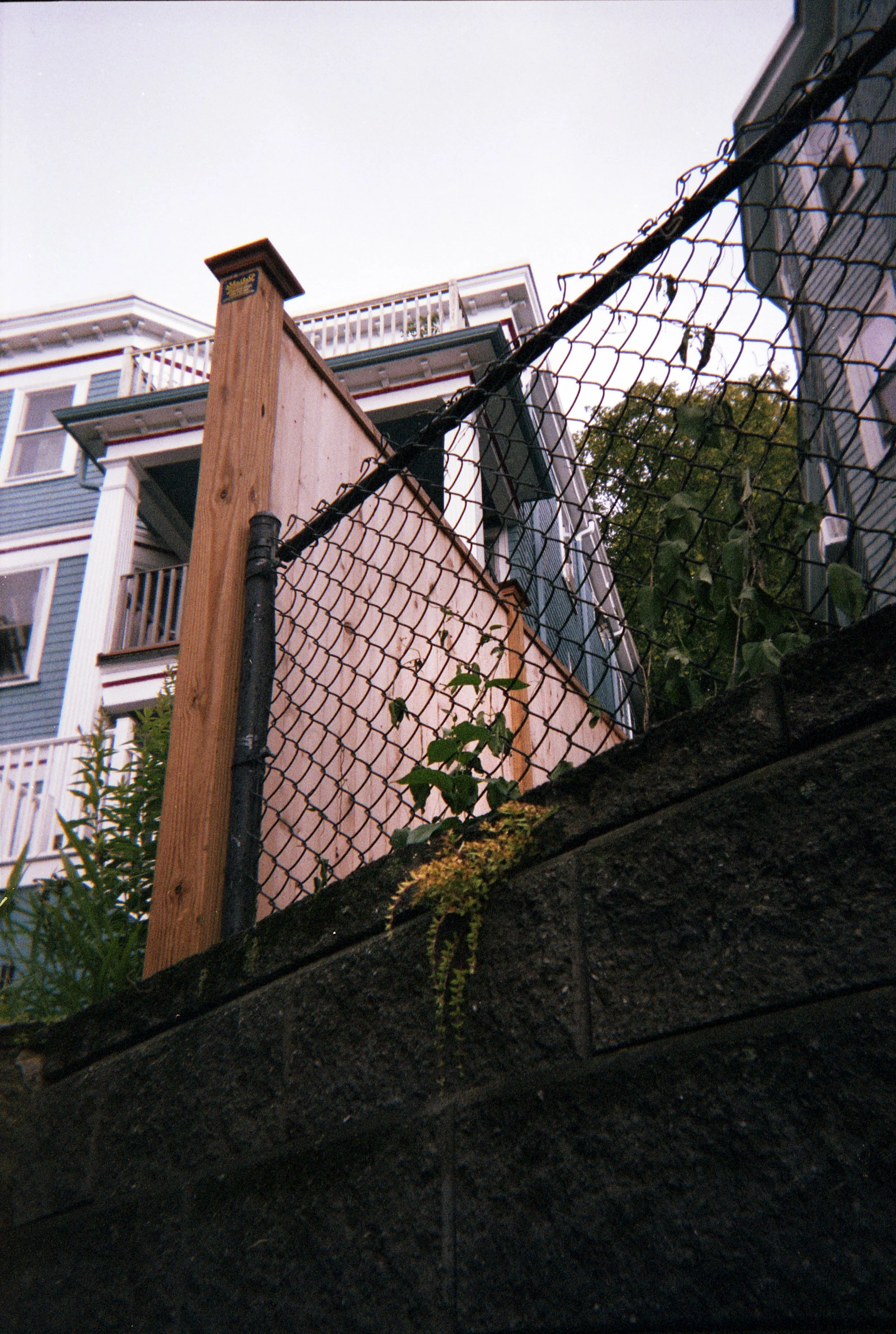trying harder019.jpg