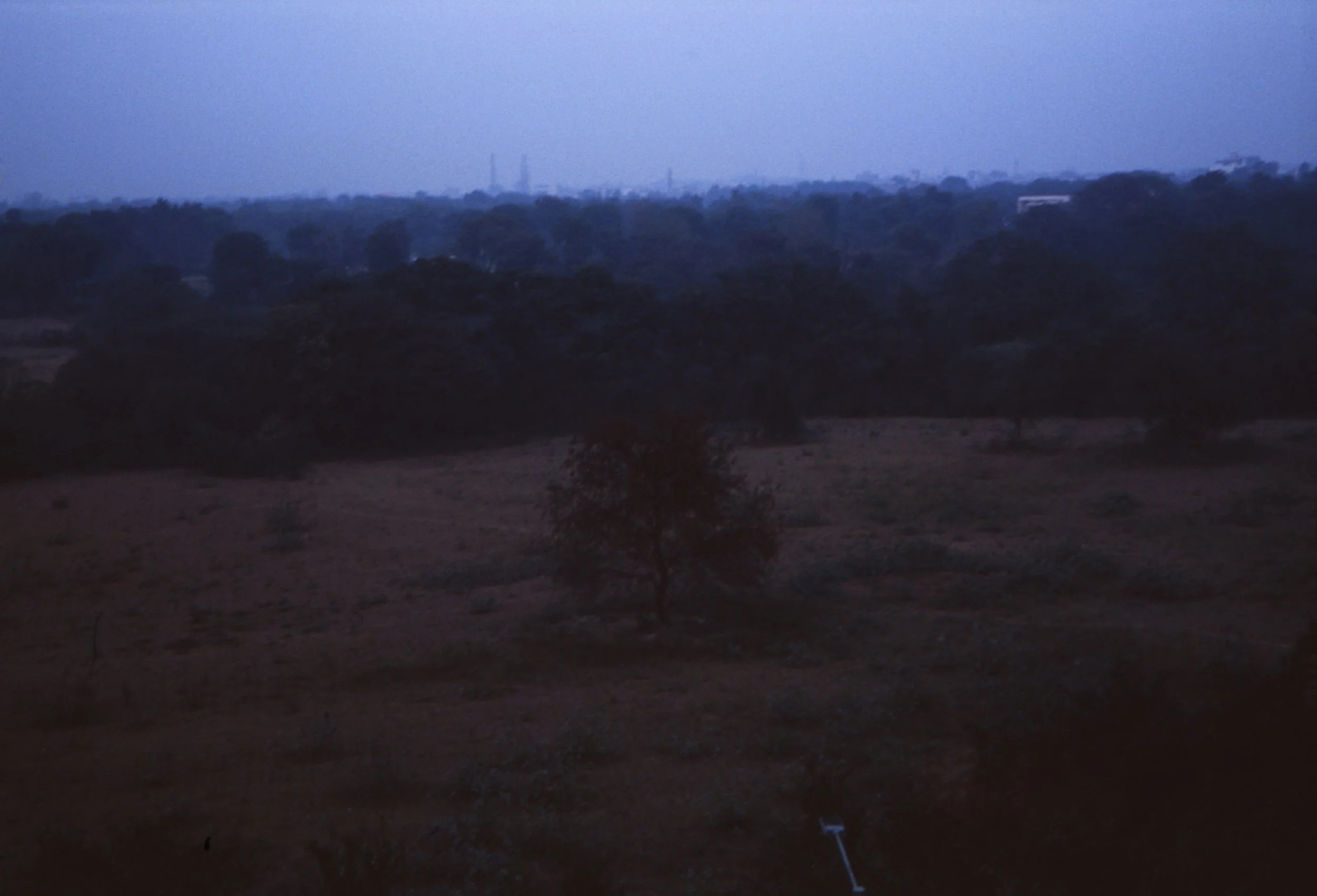 delhi018.jpg