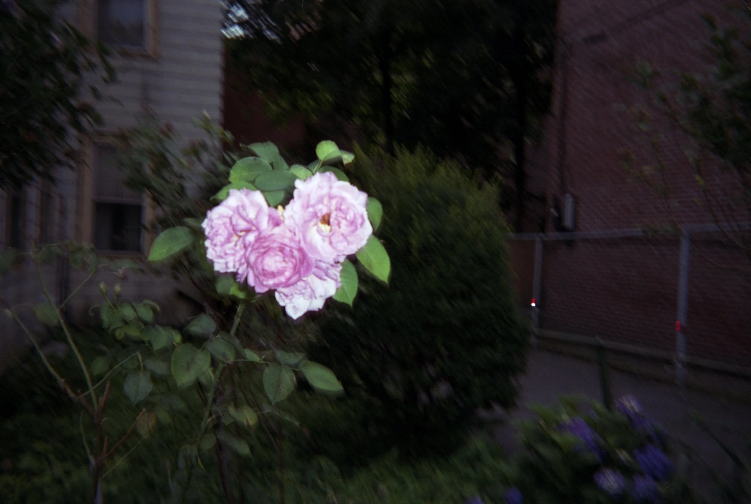 out on the streets004.jpg