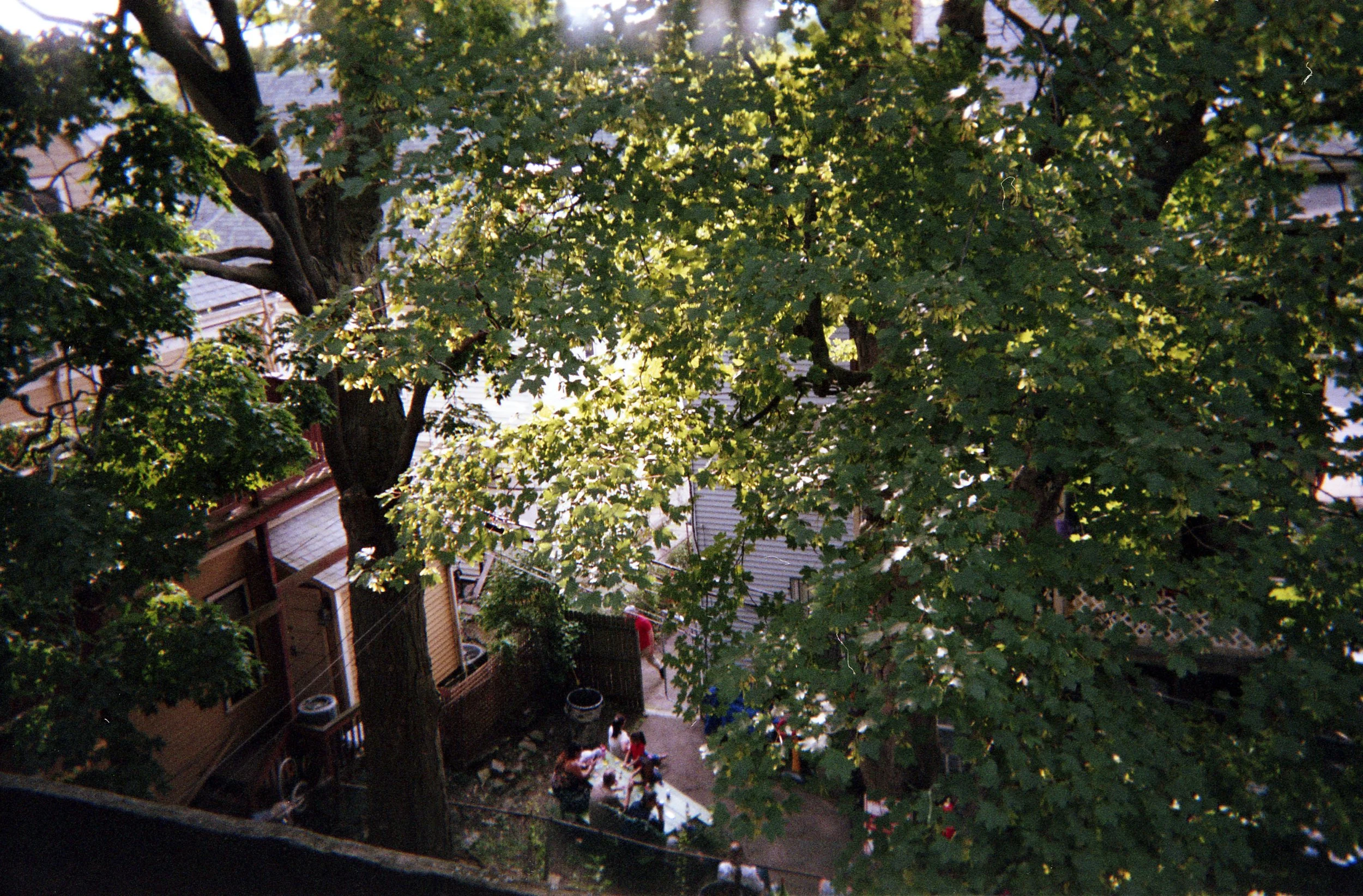 neighbourhood romance018.jpg
