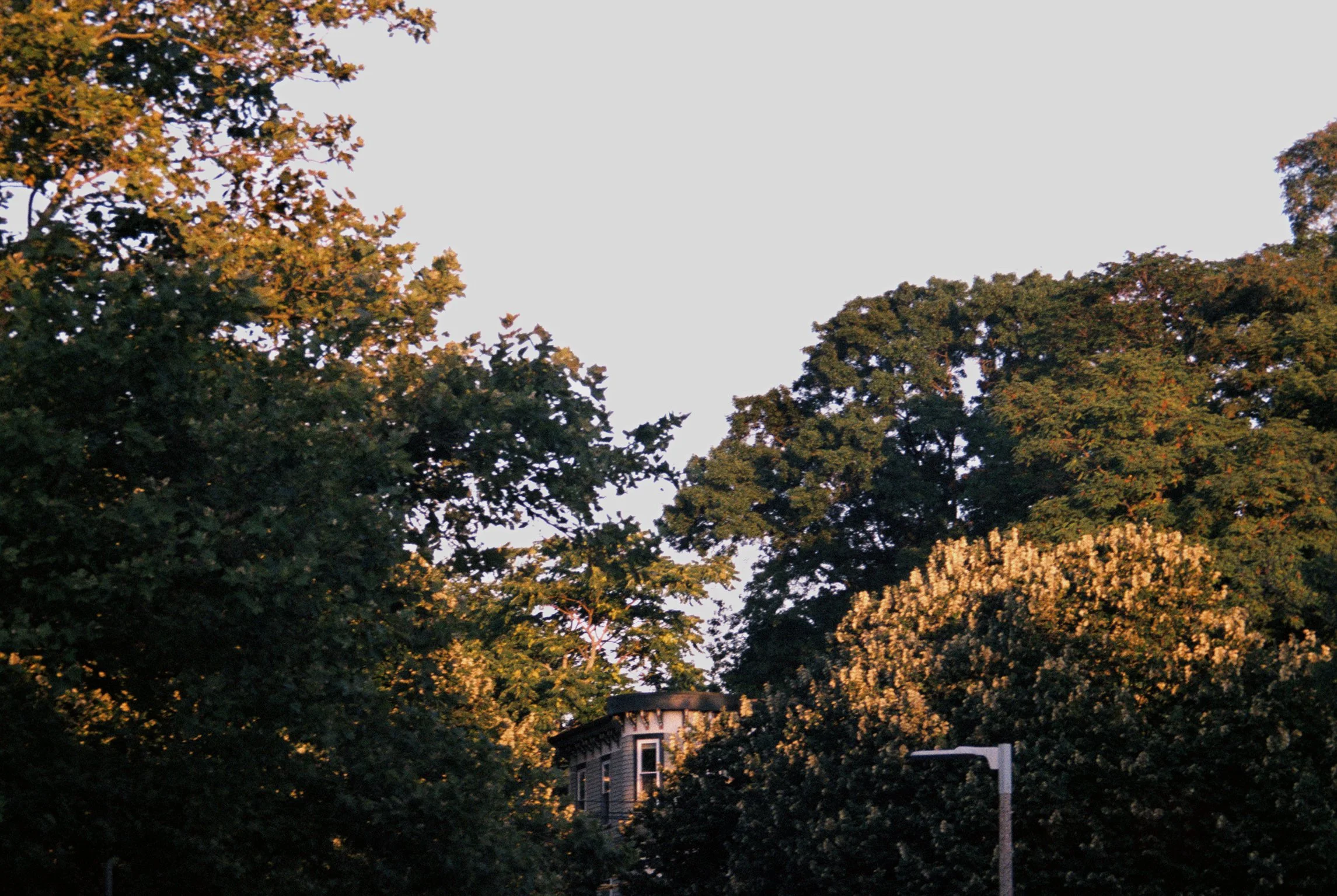 still boston_026.jpg
