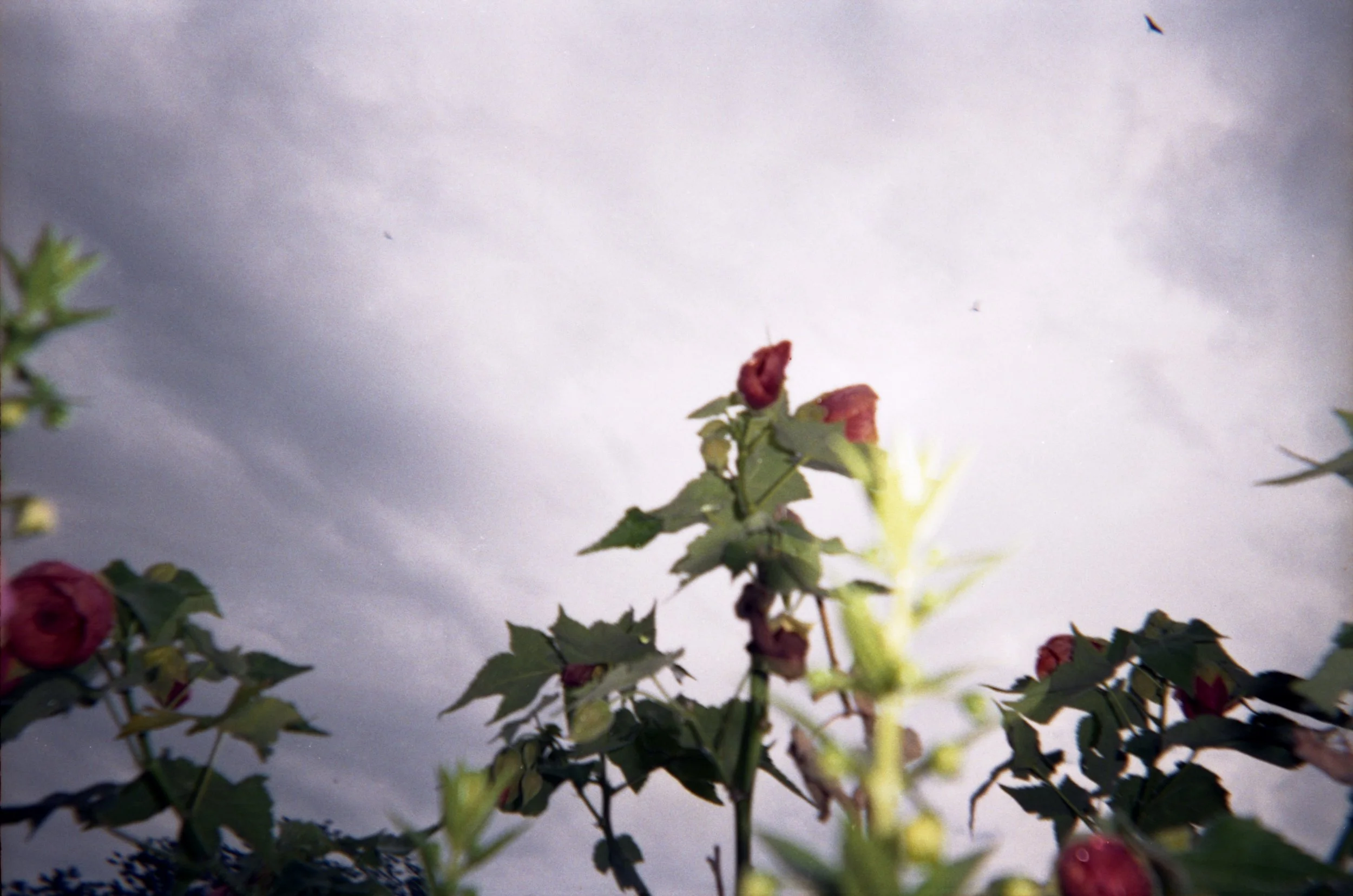 out on the streets017.jpg