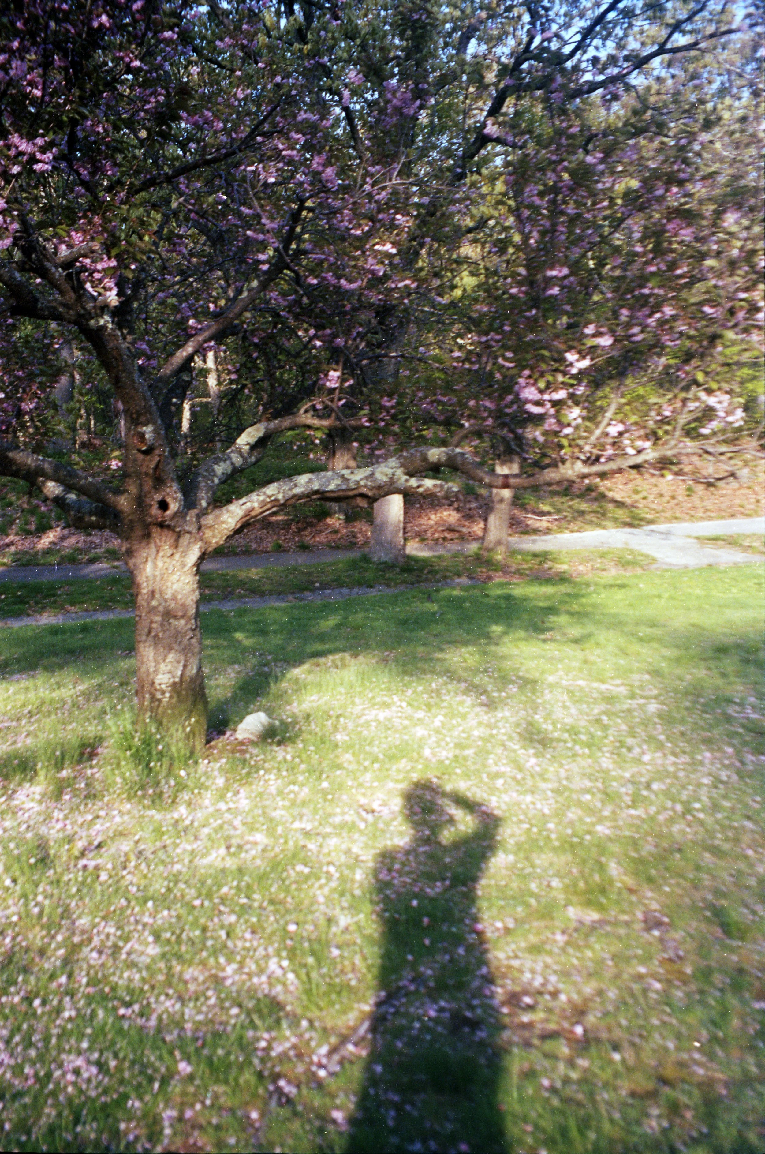 residential living019.jpg