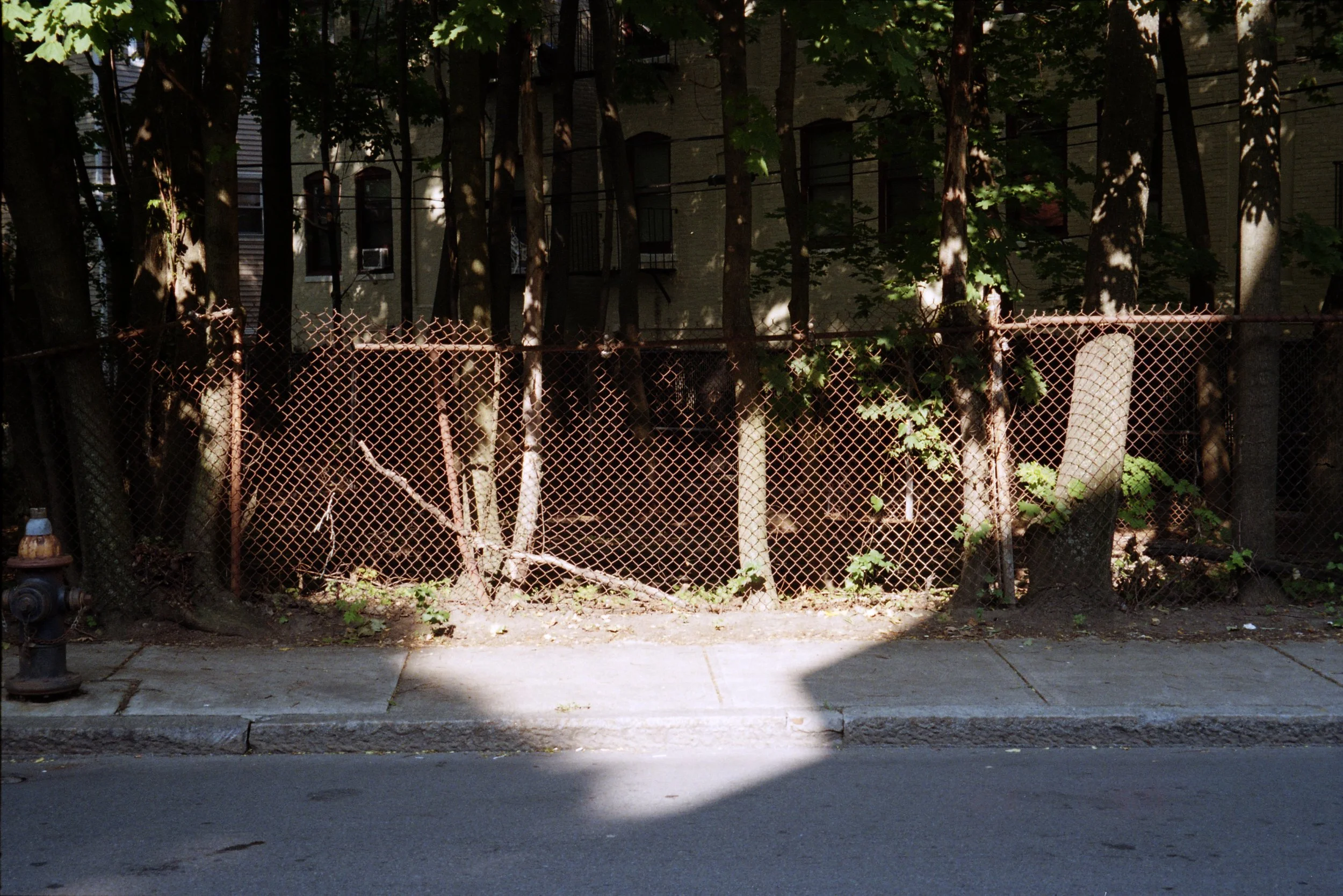 here and there, but here024.jpg