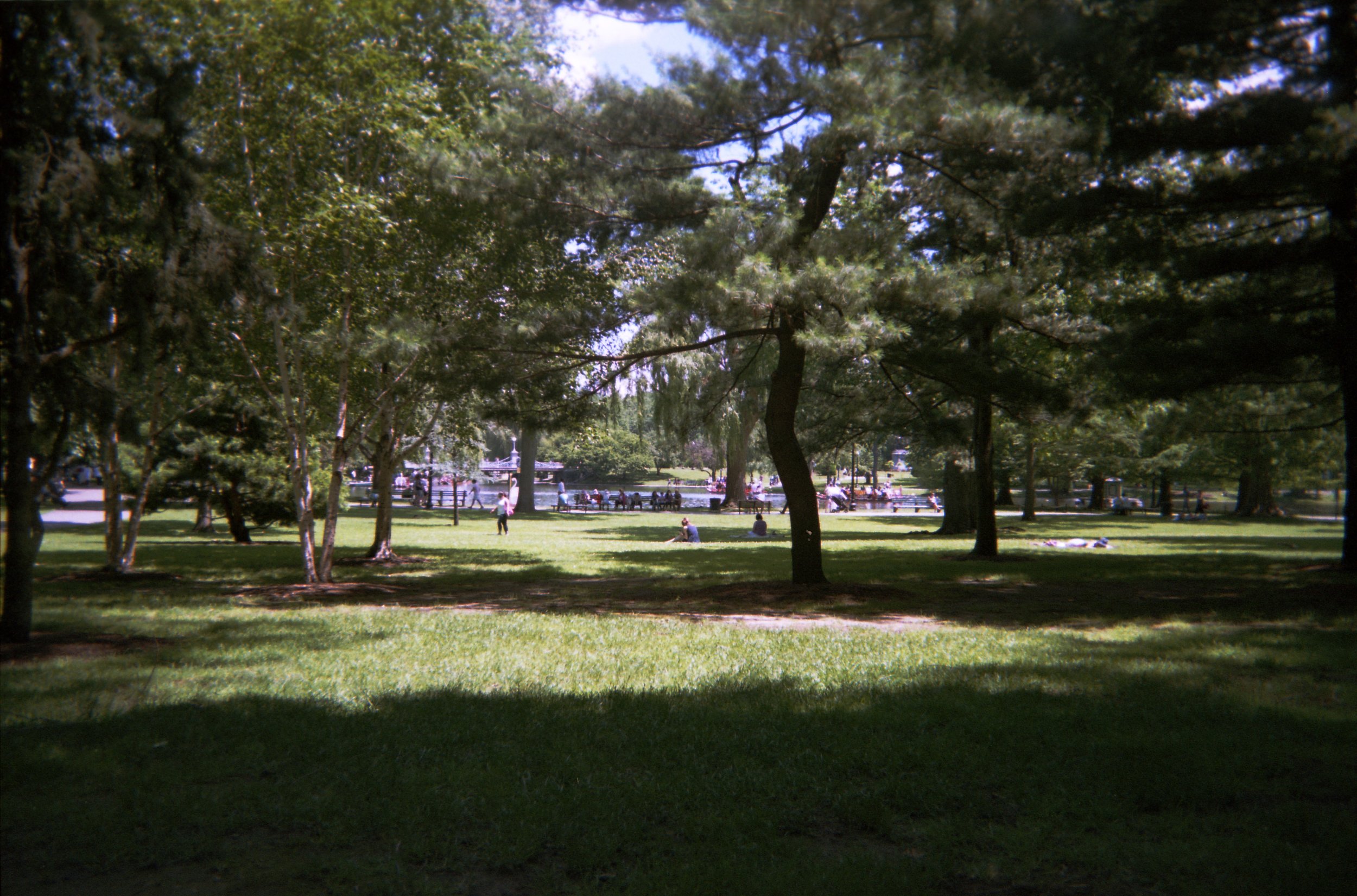 trying harder014.jpg