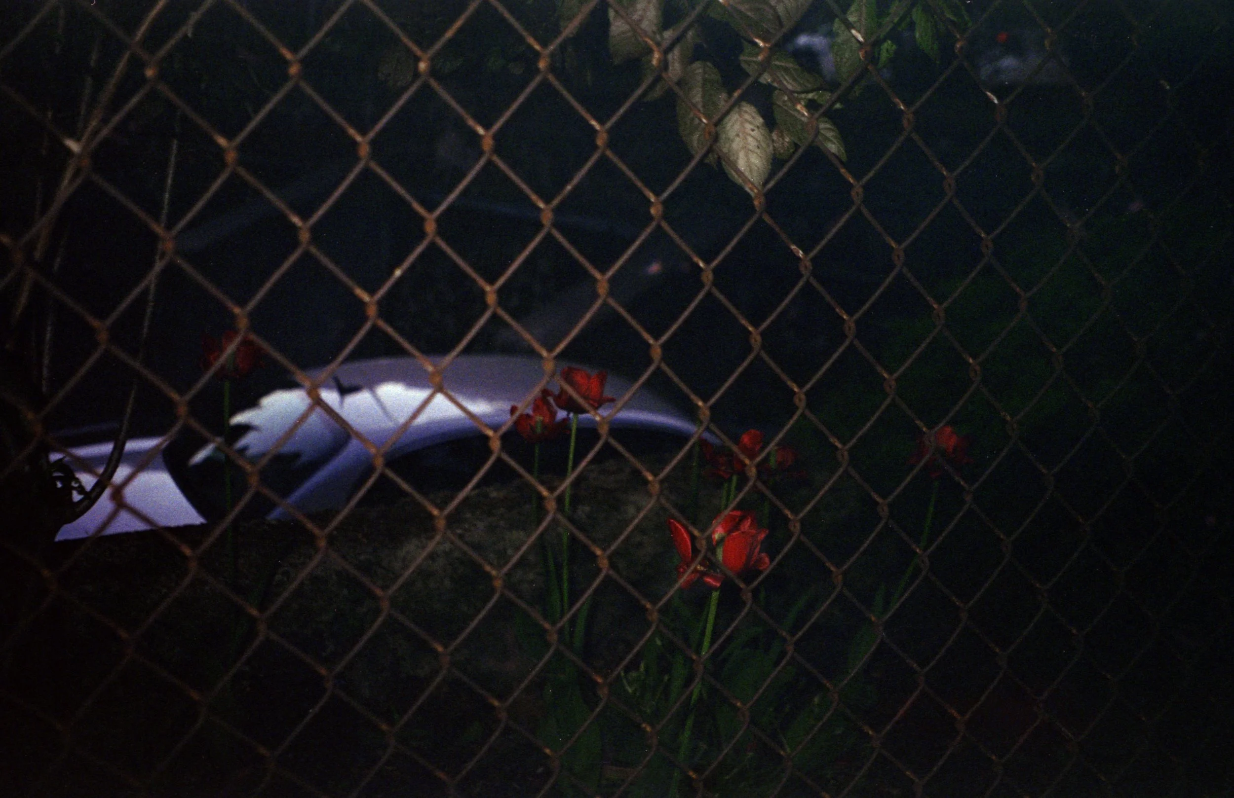 life's an adventure_007.jpg