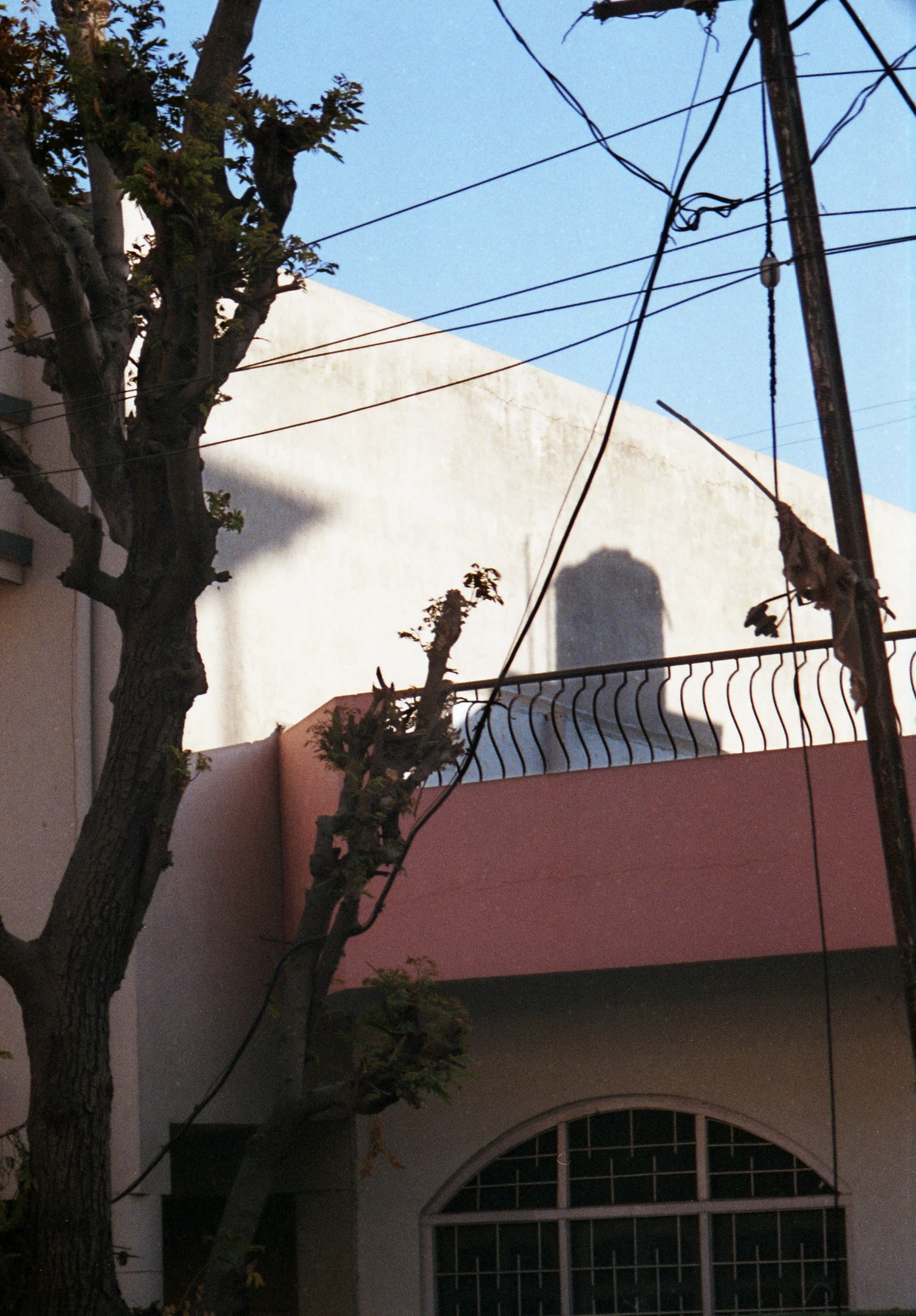 india has colours003.jpg
