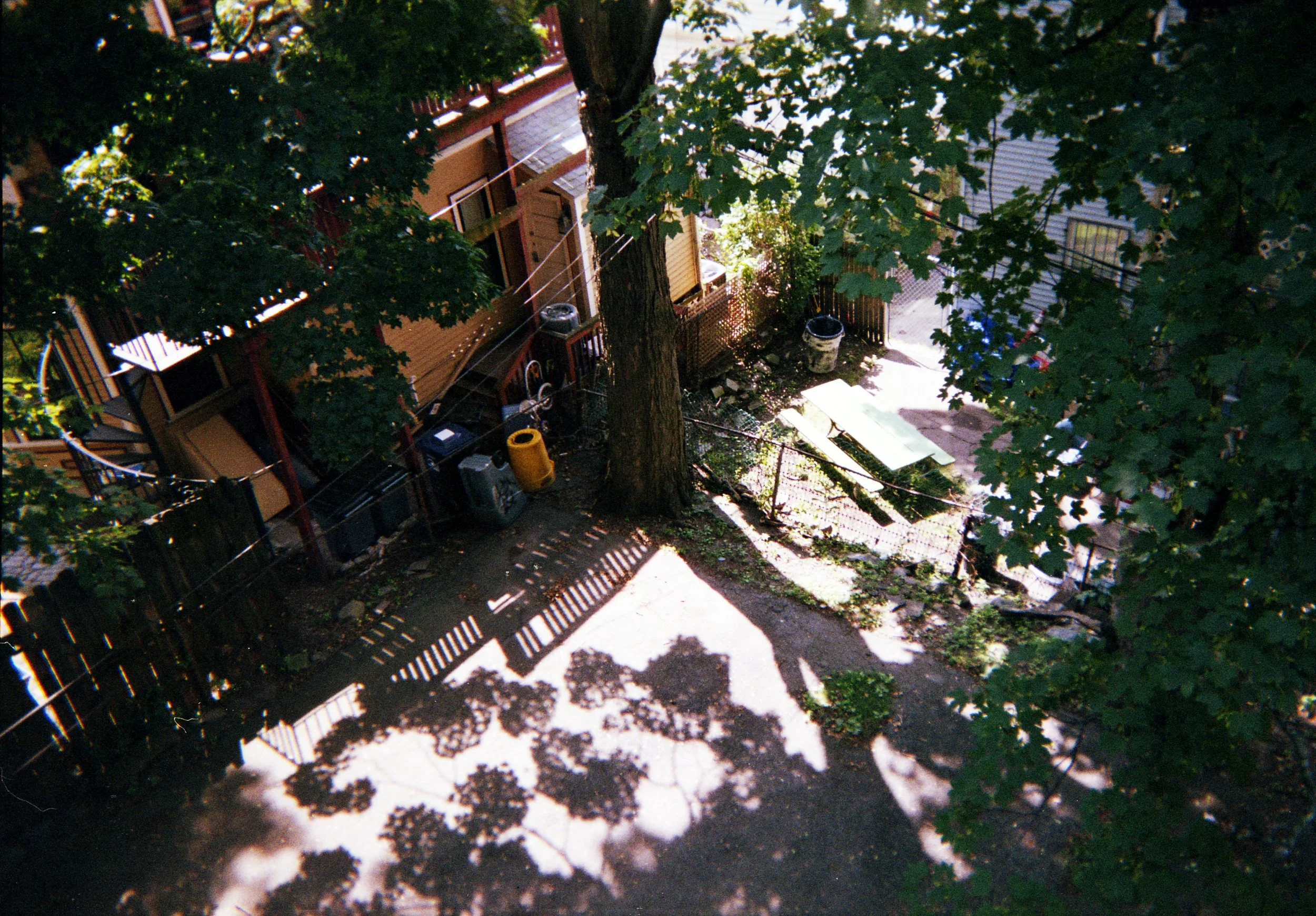 neighbourhood romance016.jpg