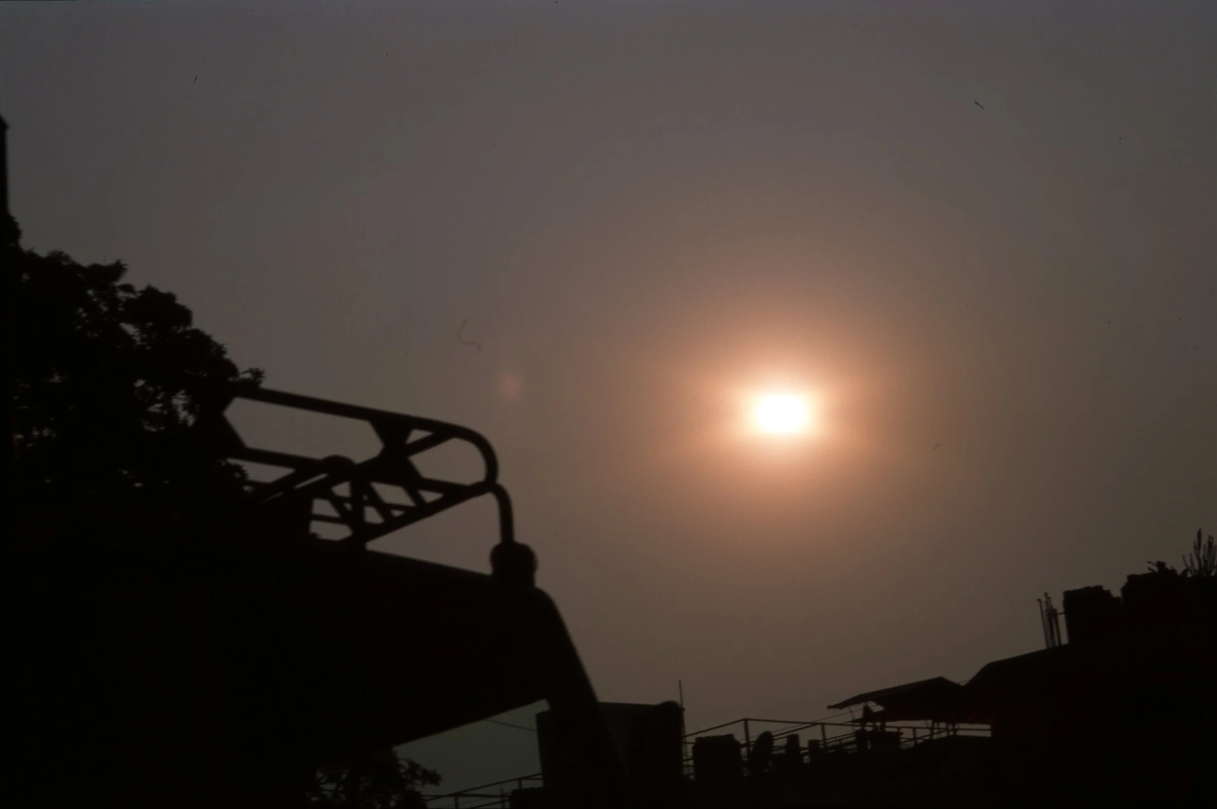 delhi010.jpg