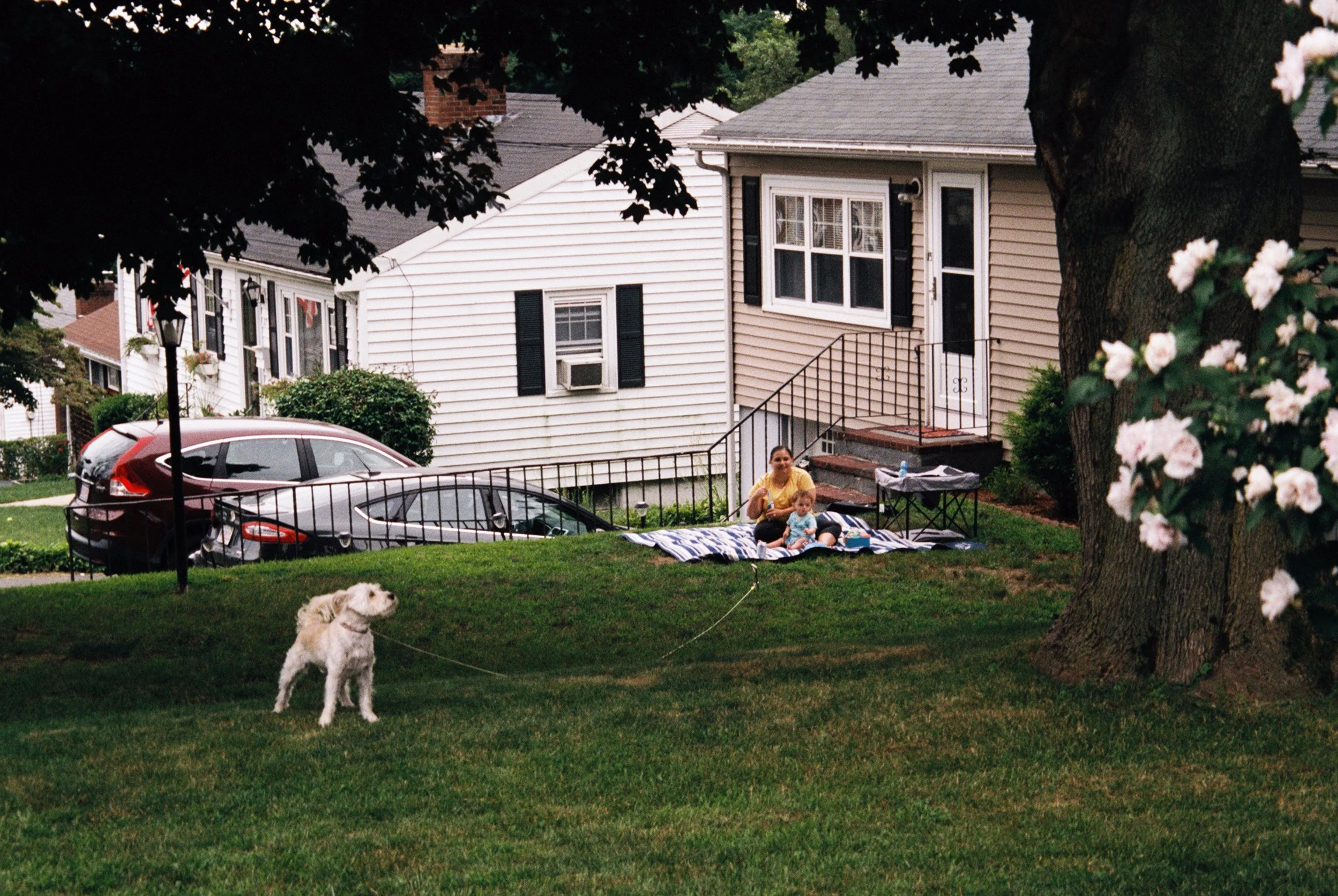still boston_009.jpg