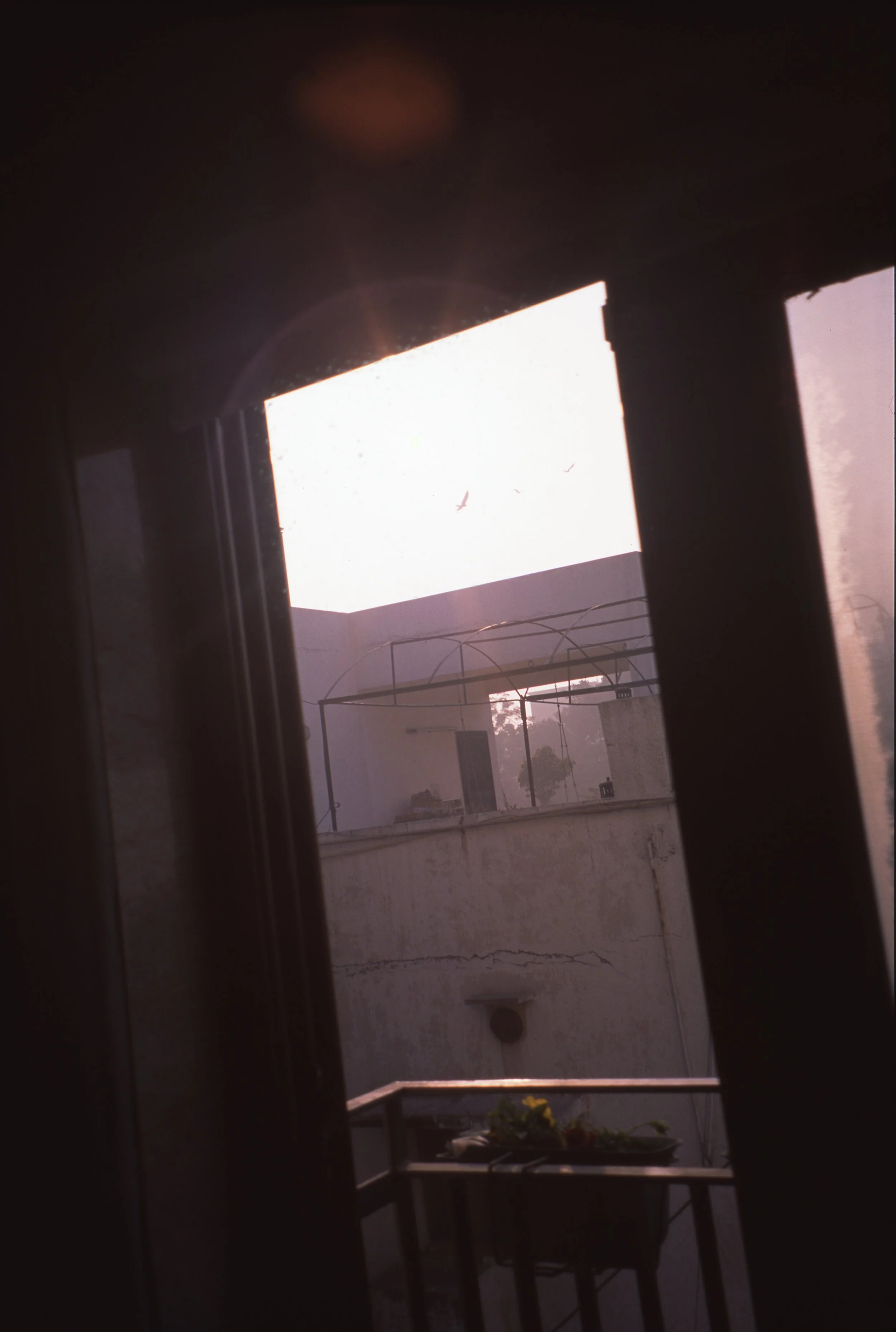 delhi014.jpg