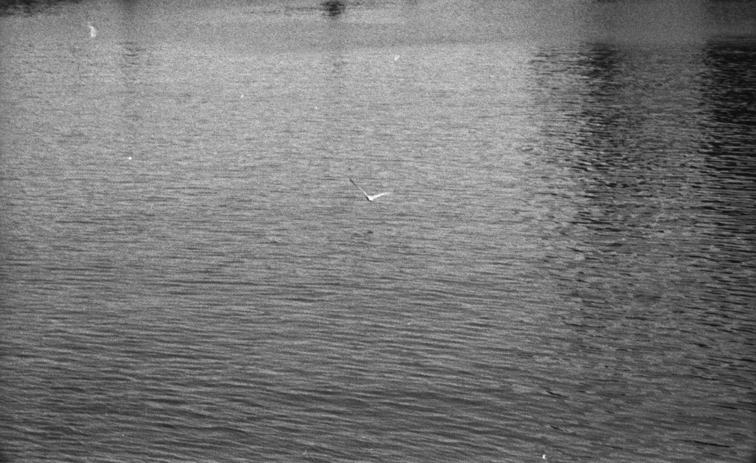 enjoy it while it lasts010.jpg