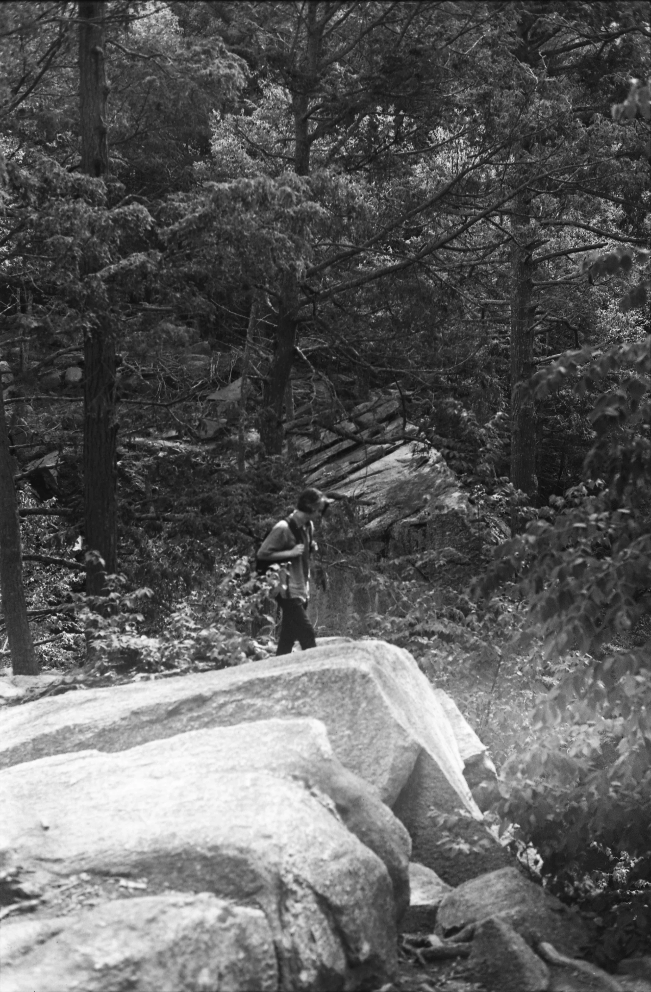 purgatory chasm_03.jpg