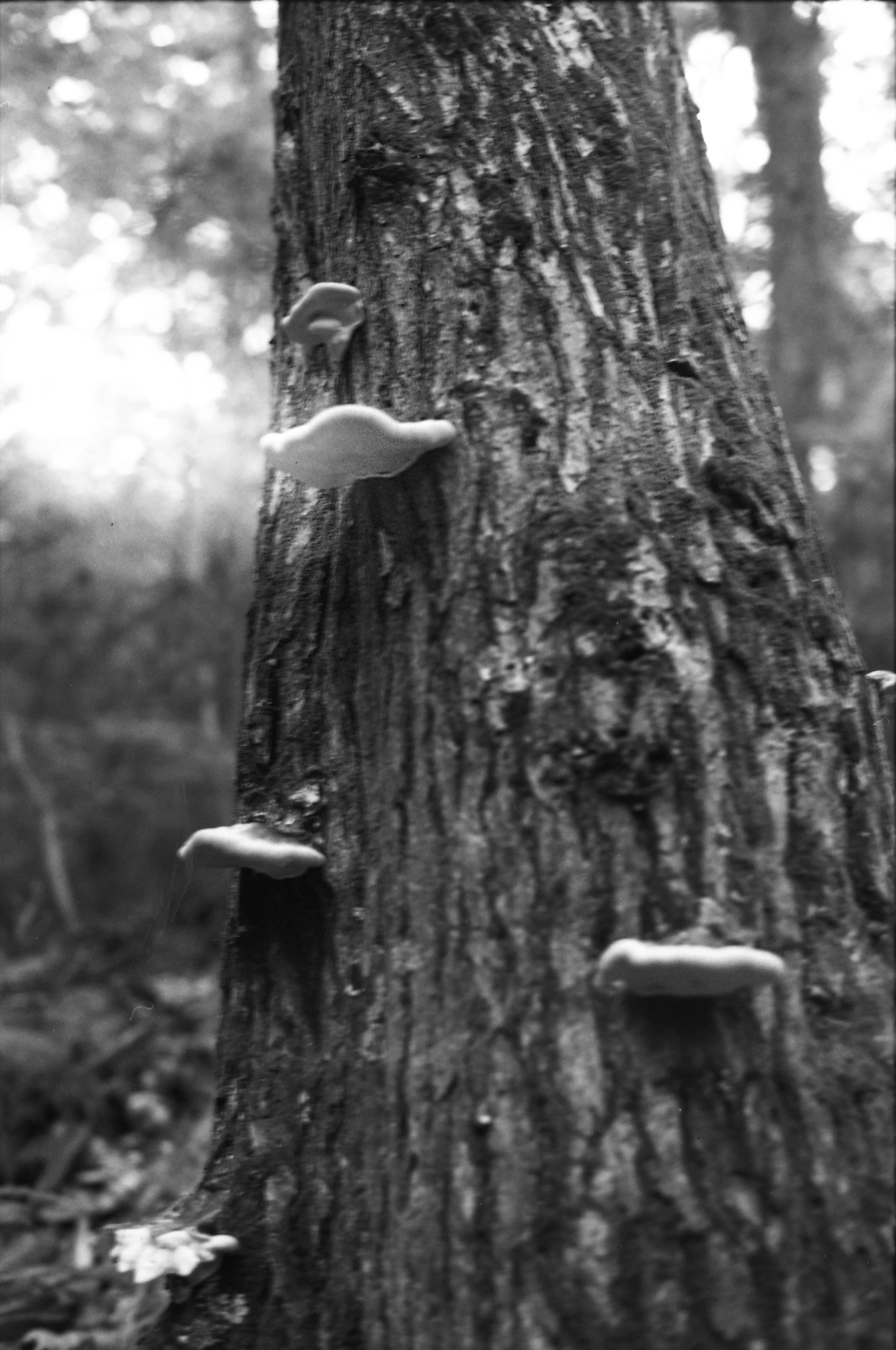 purgatory chasm_08.jpg