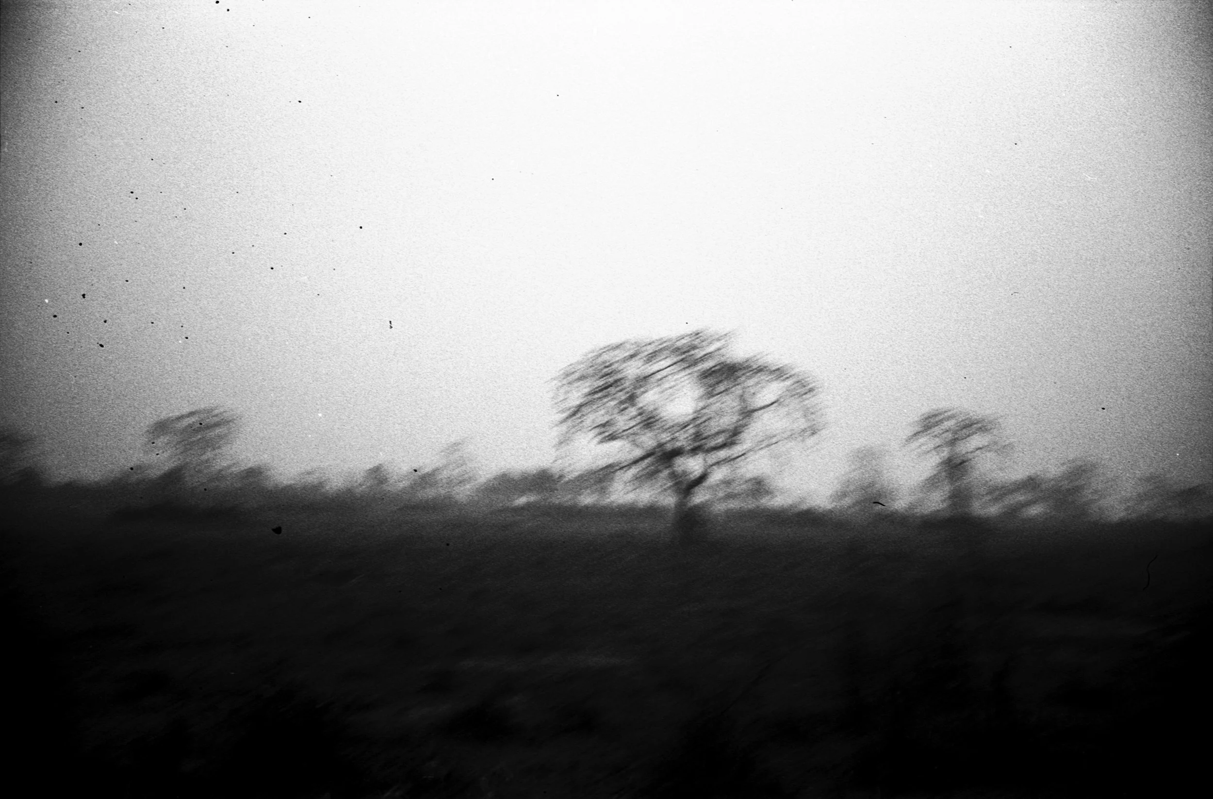 getting used to India_003.jpg