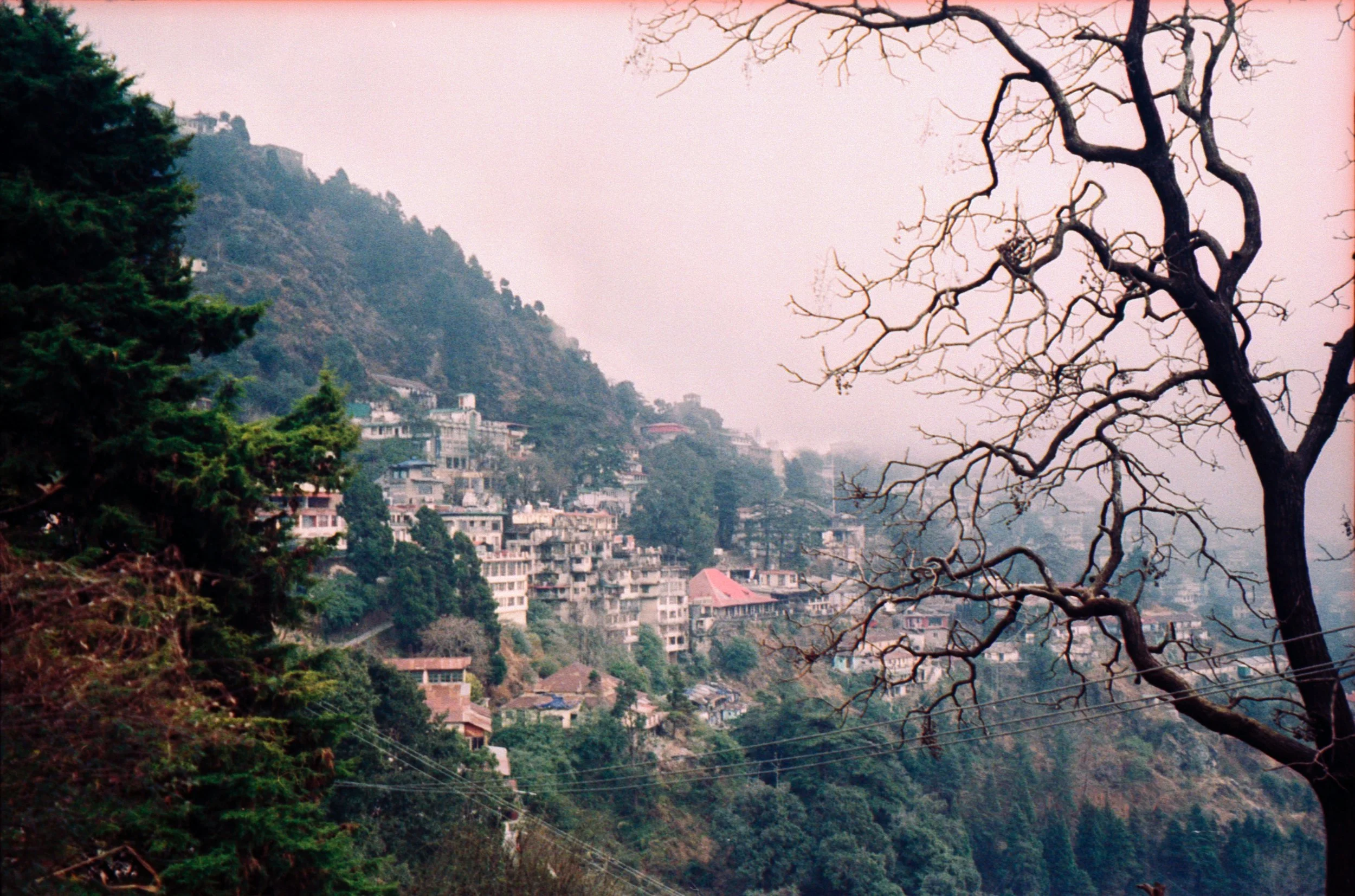 vivid india_016.jpg