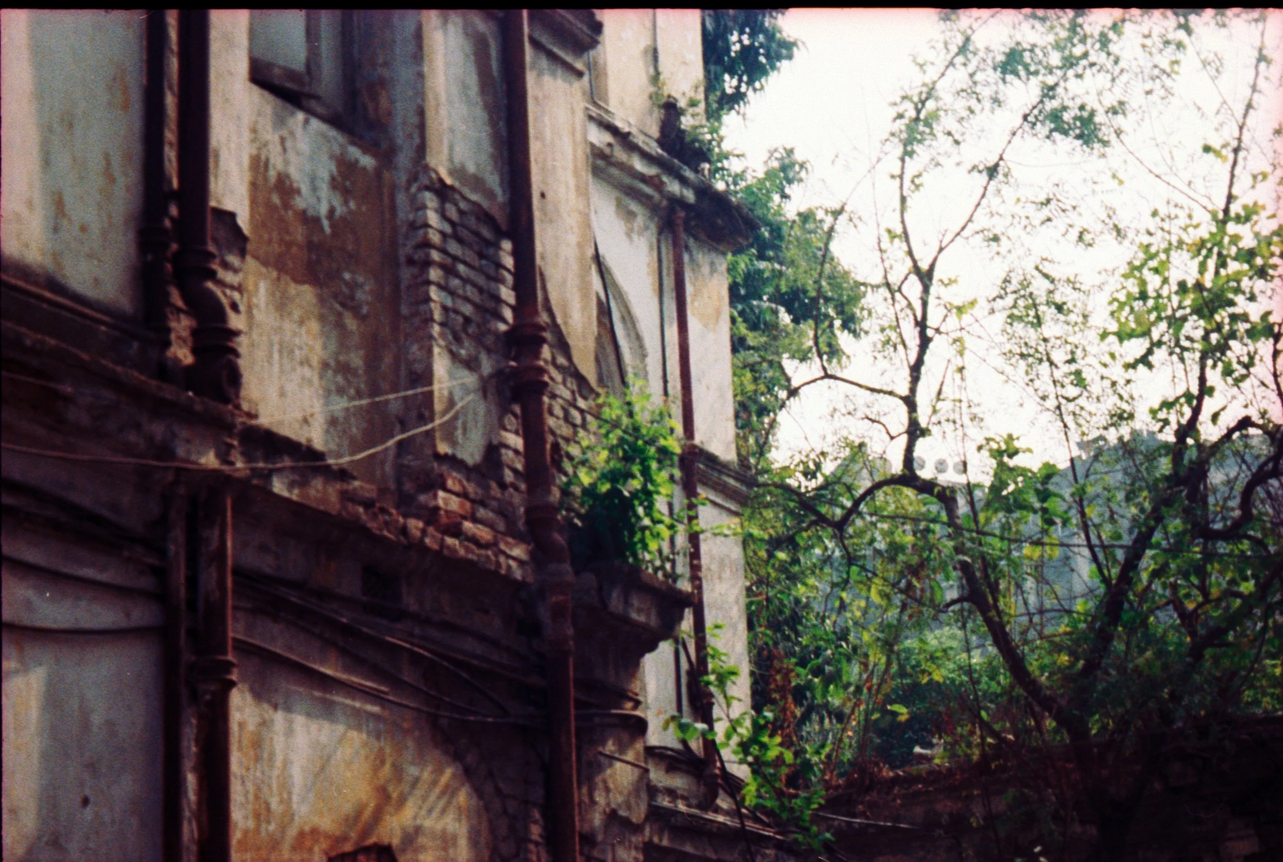 vivid india_030.jpg