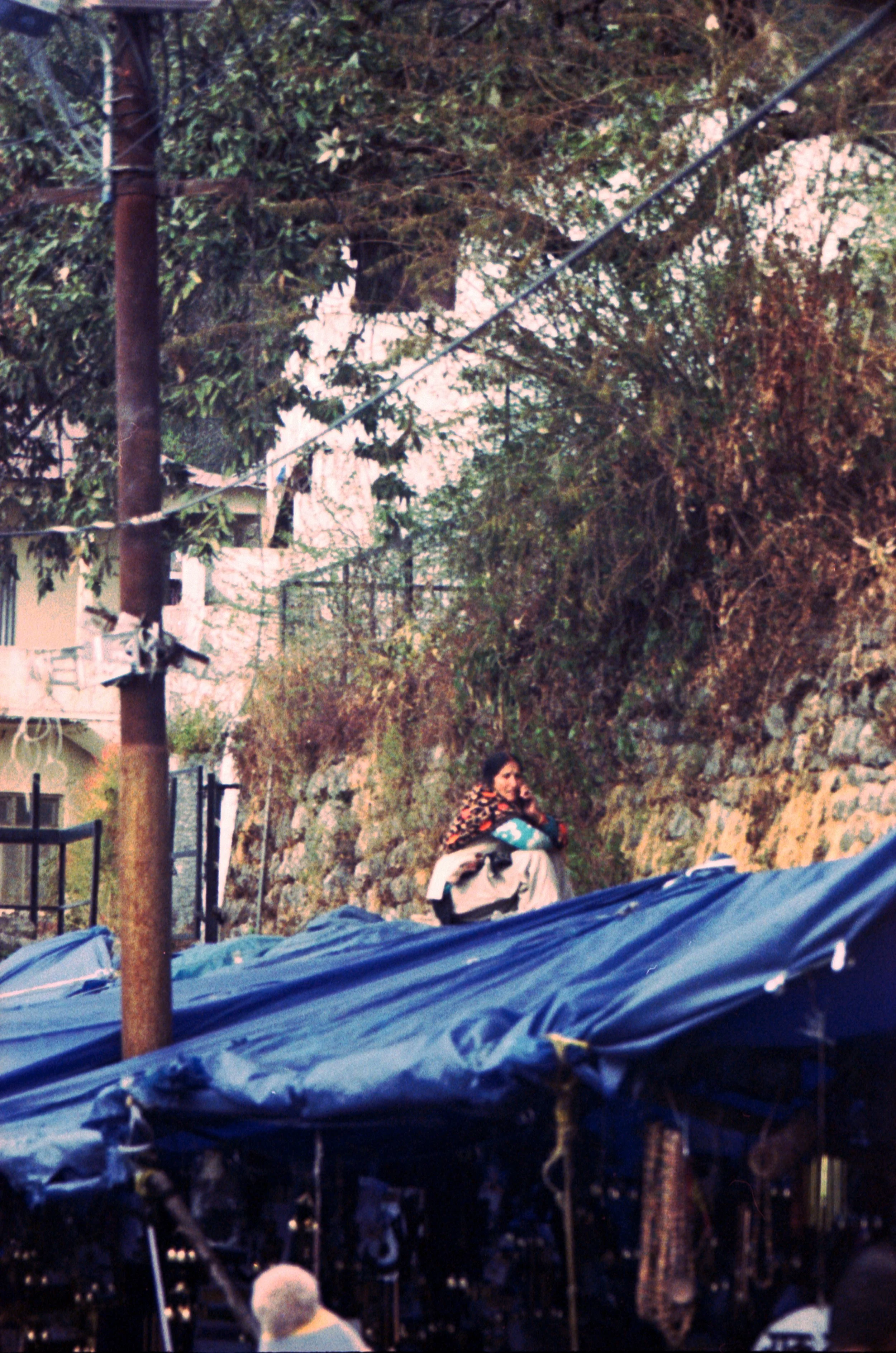 vivid india_009.jpg