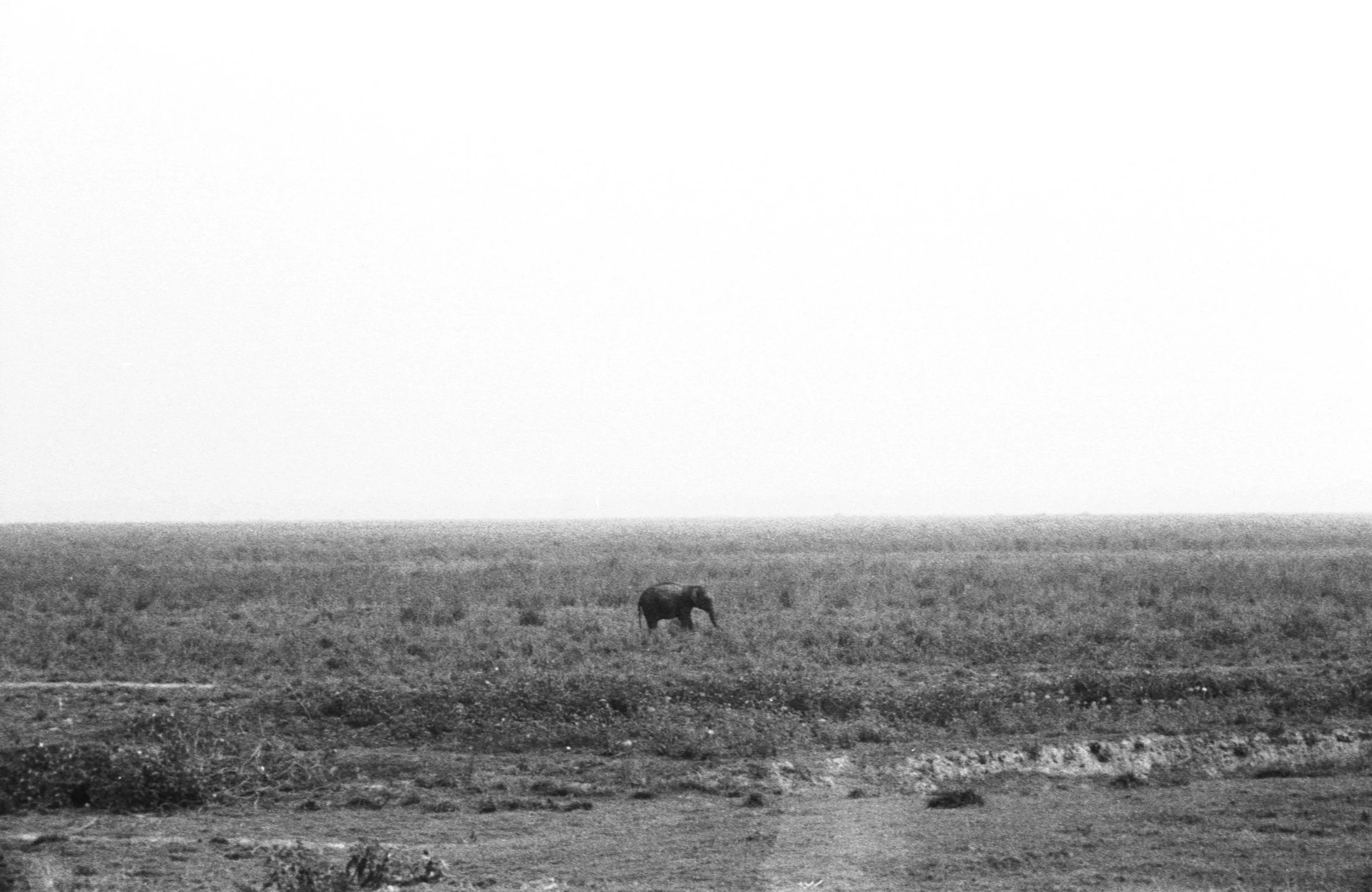 getting used to India_007.jpg