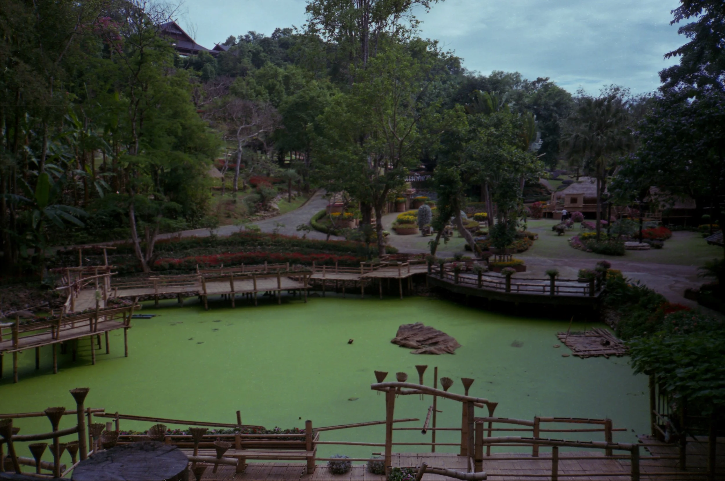img013.jpg