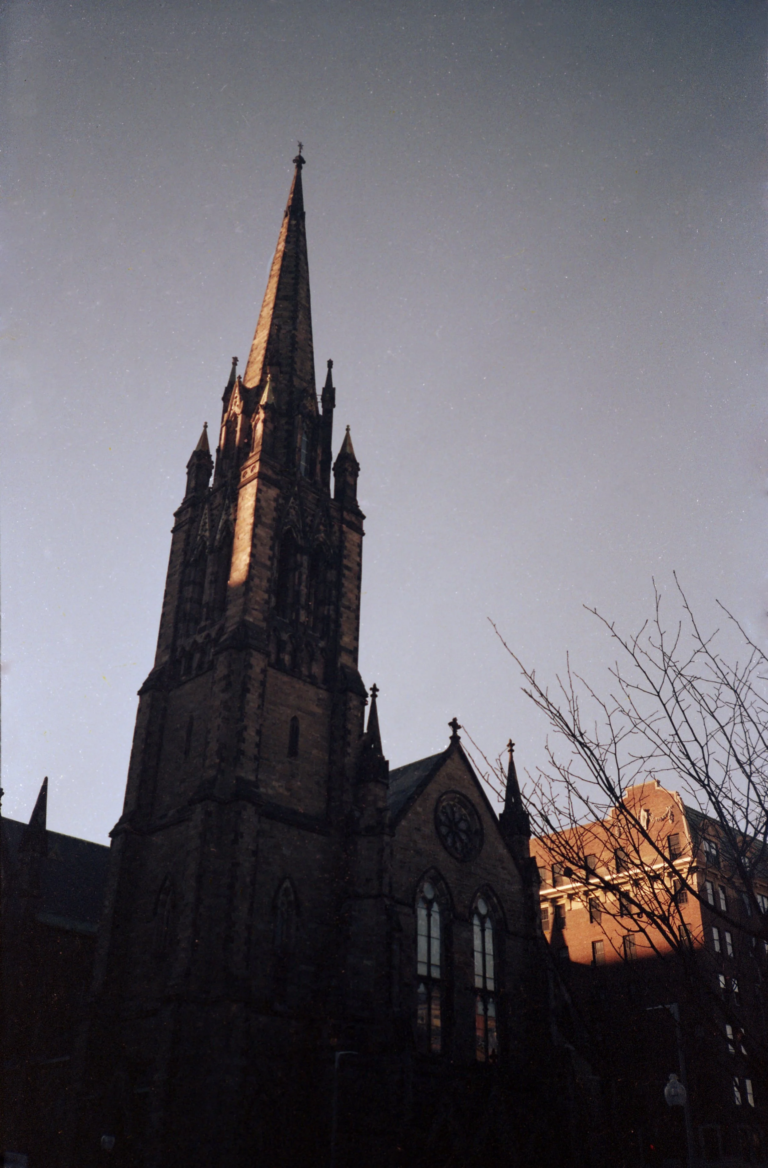 img007.jpg