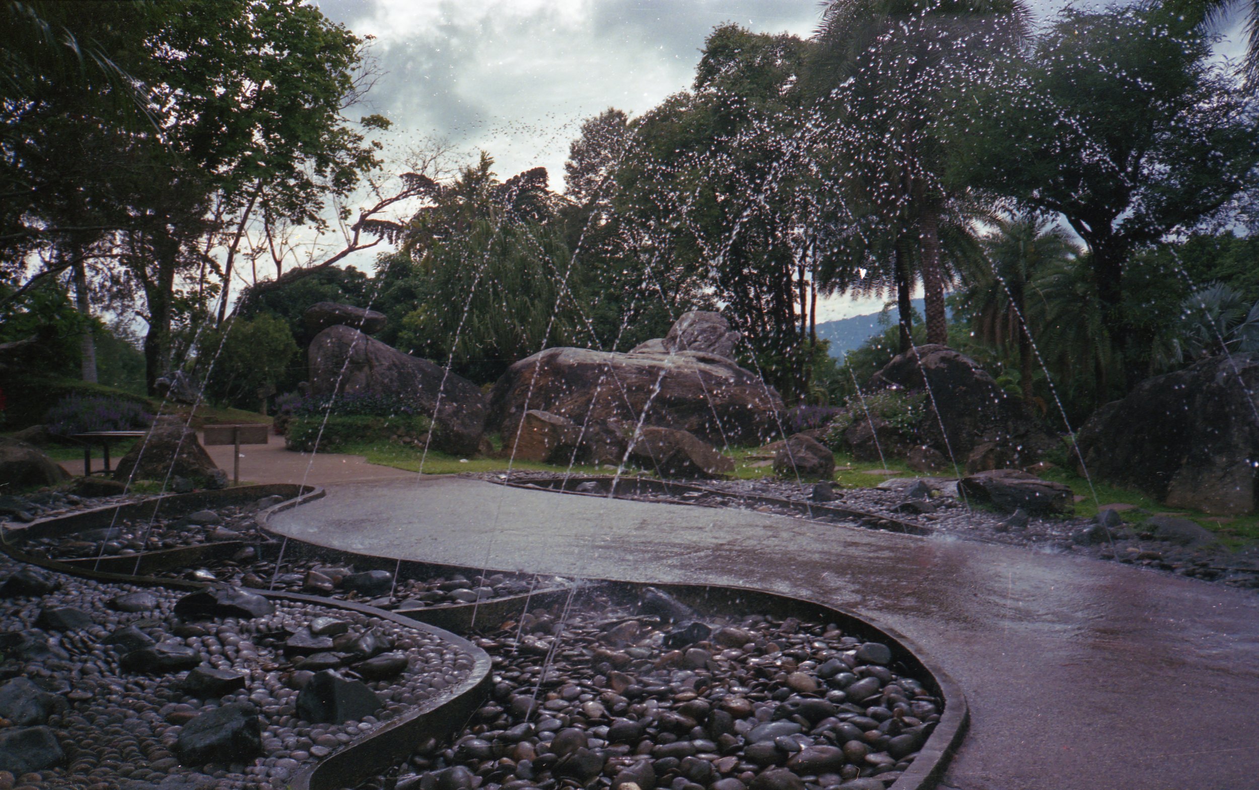 img019.jpg