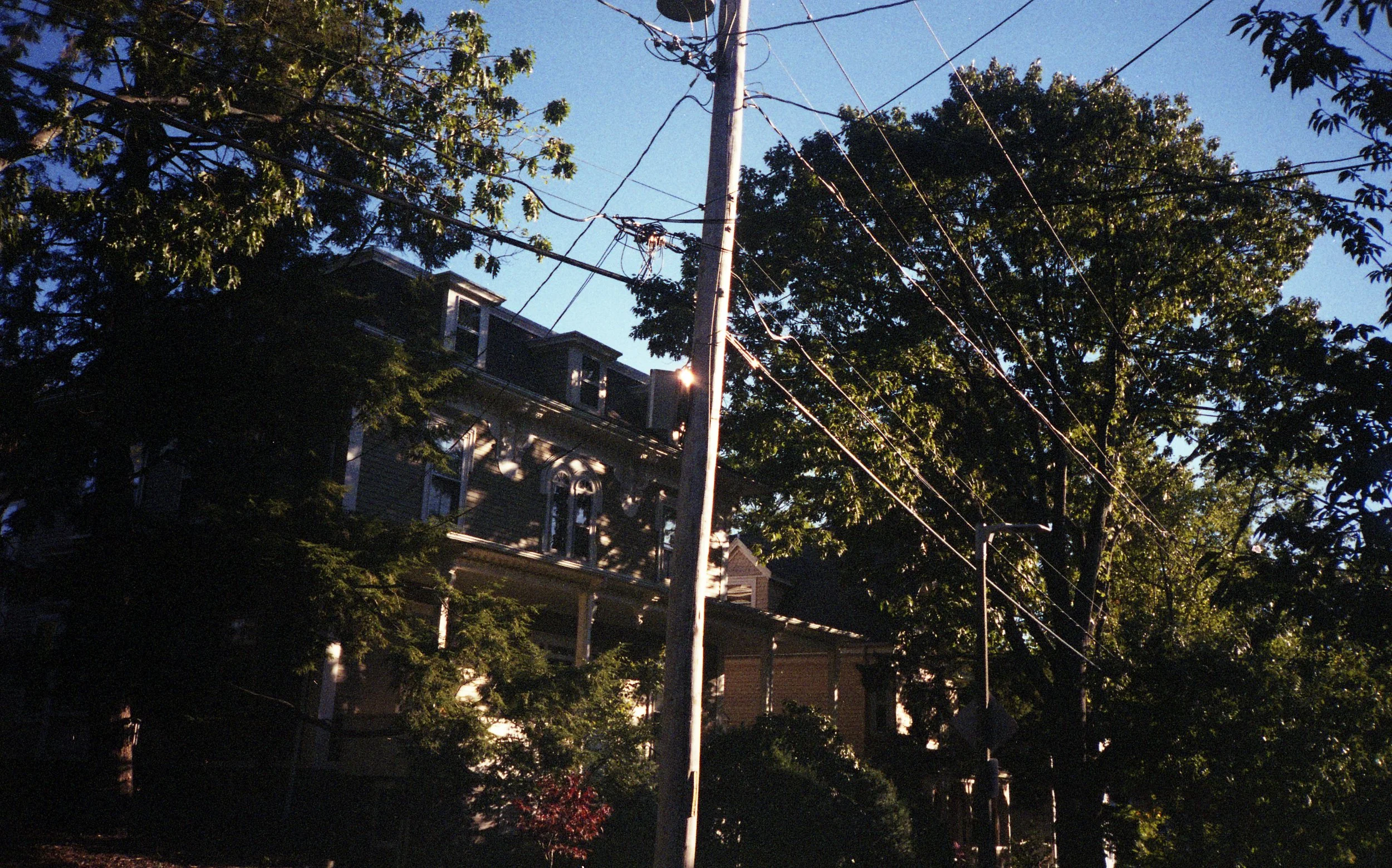 img007.jpg