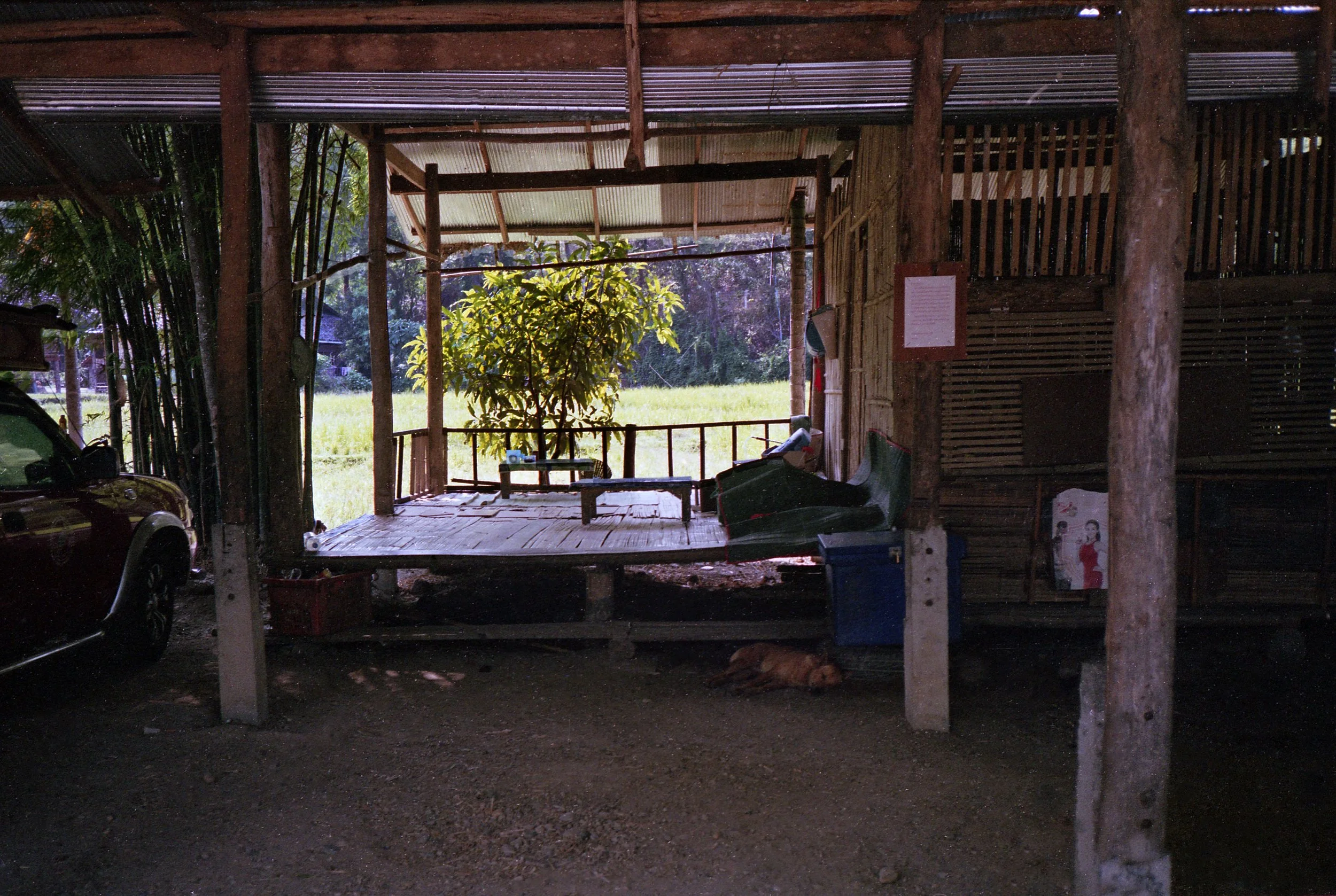 img003.jpg