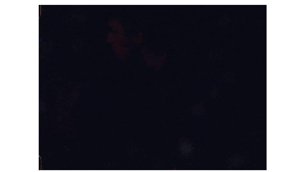 yazz bts_018.gif