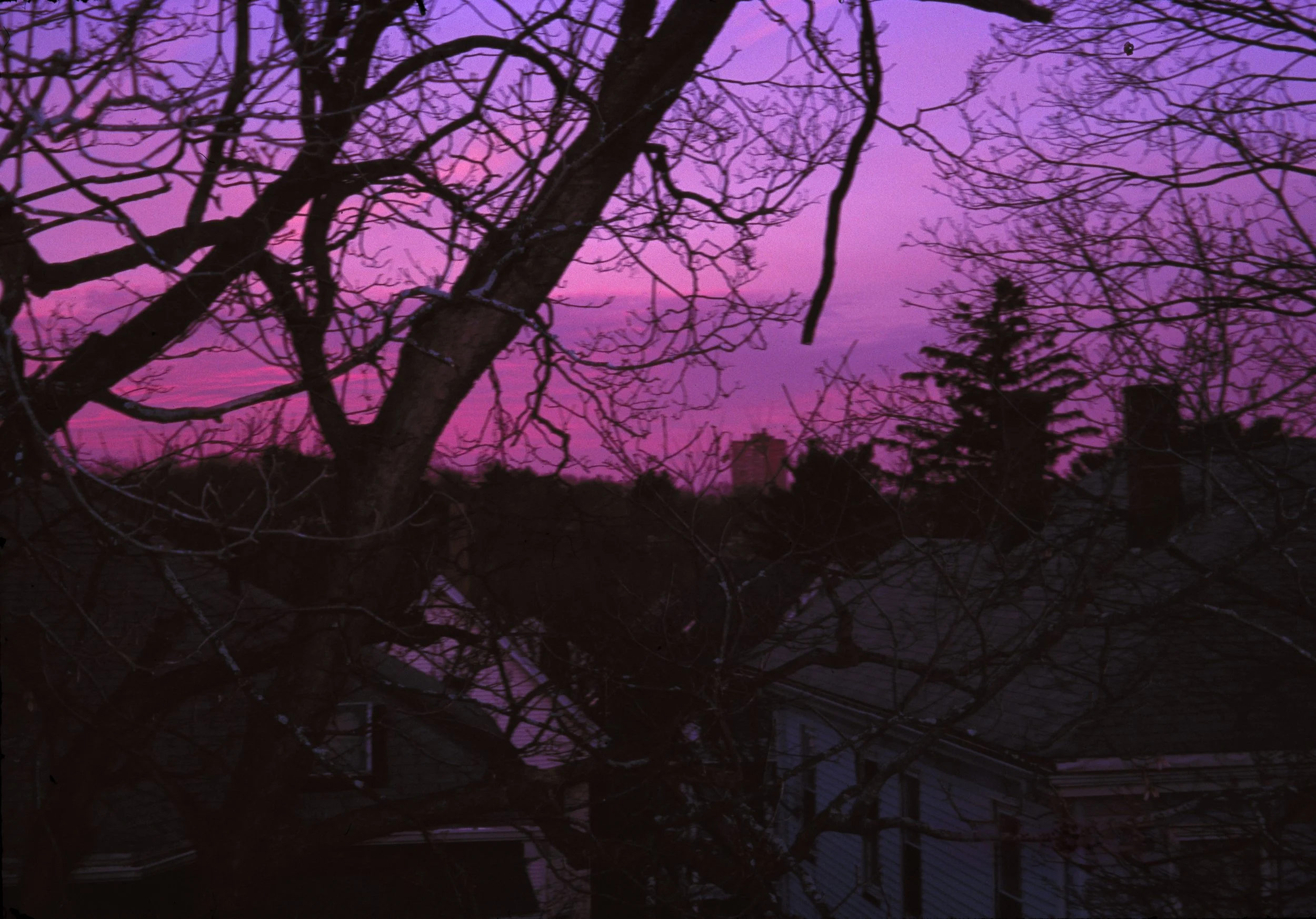end of 2018_001.jpg