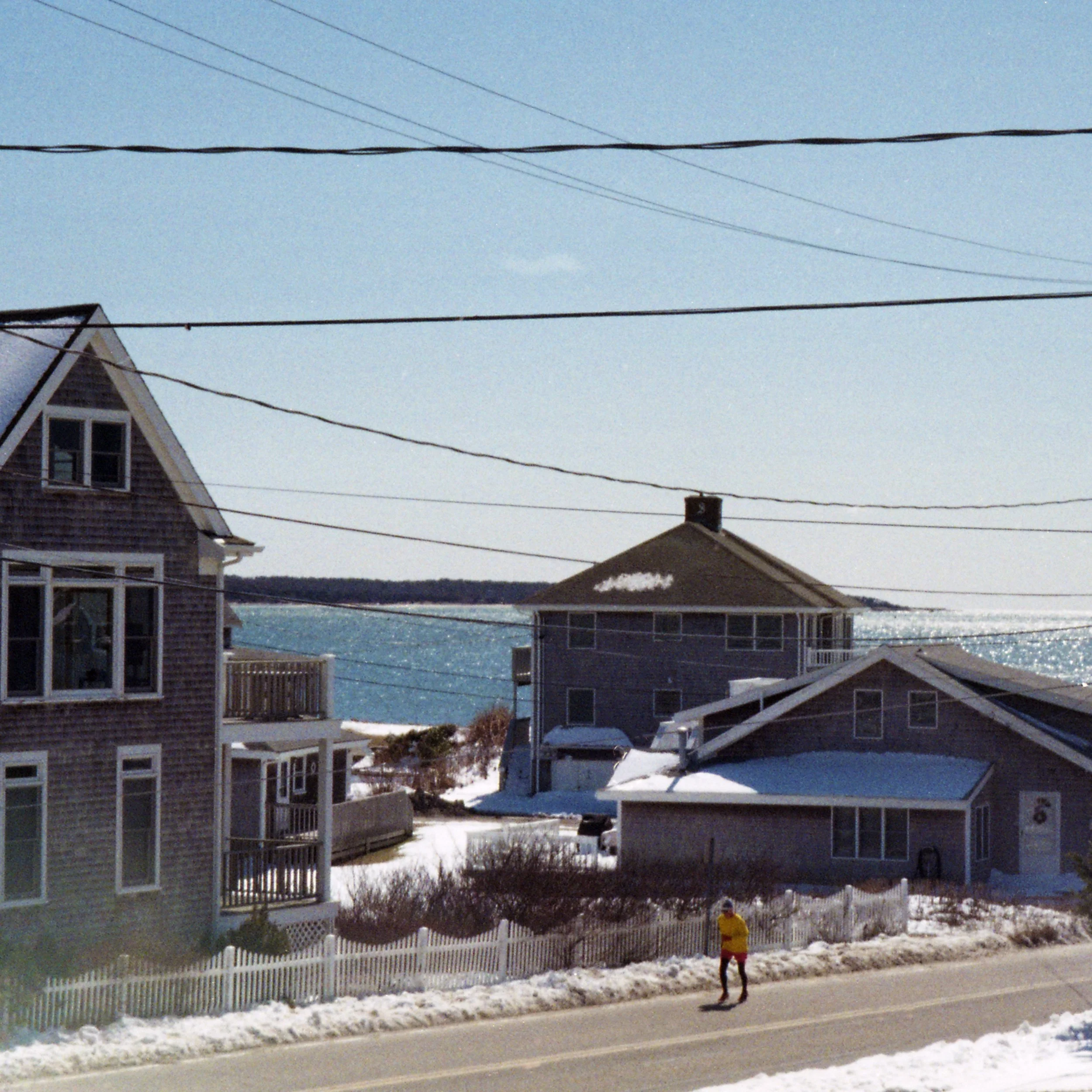 img003_crop.jpg
