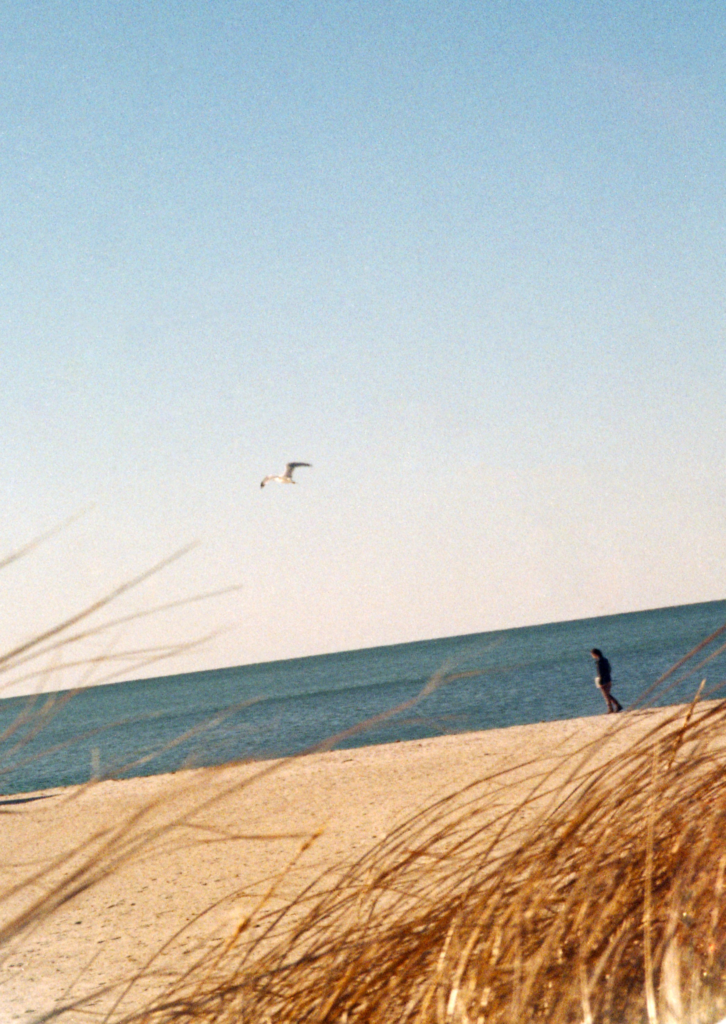 img014.jpg