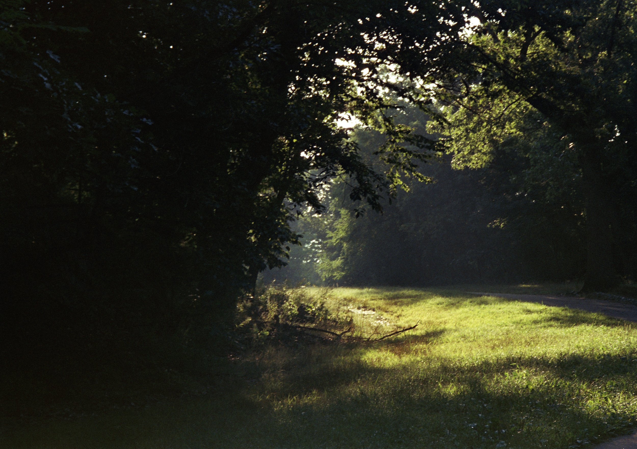 idk_7_green vista.jpg