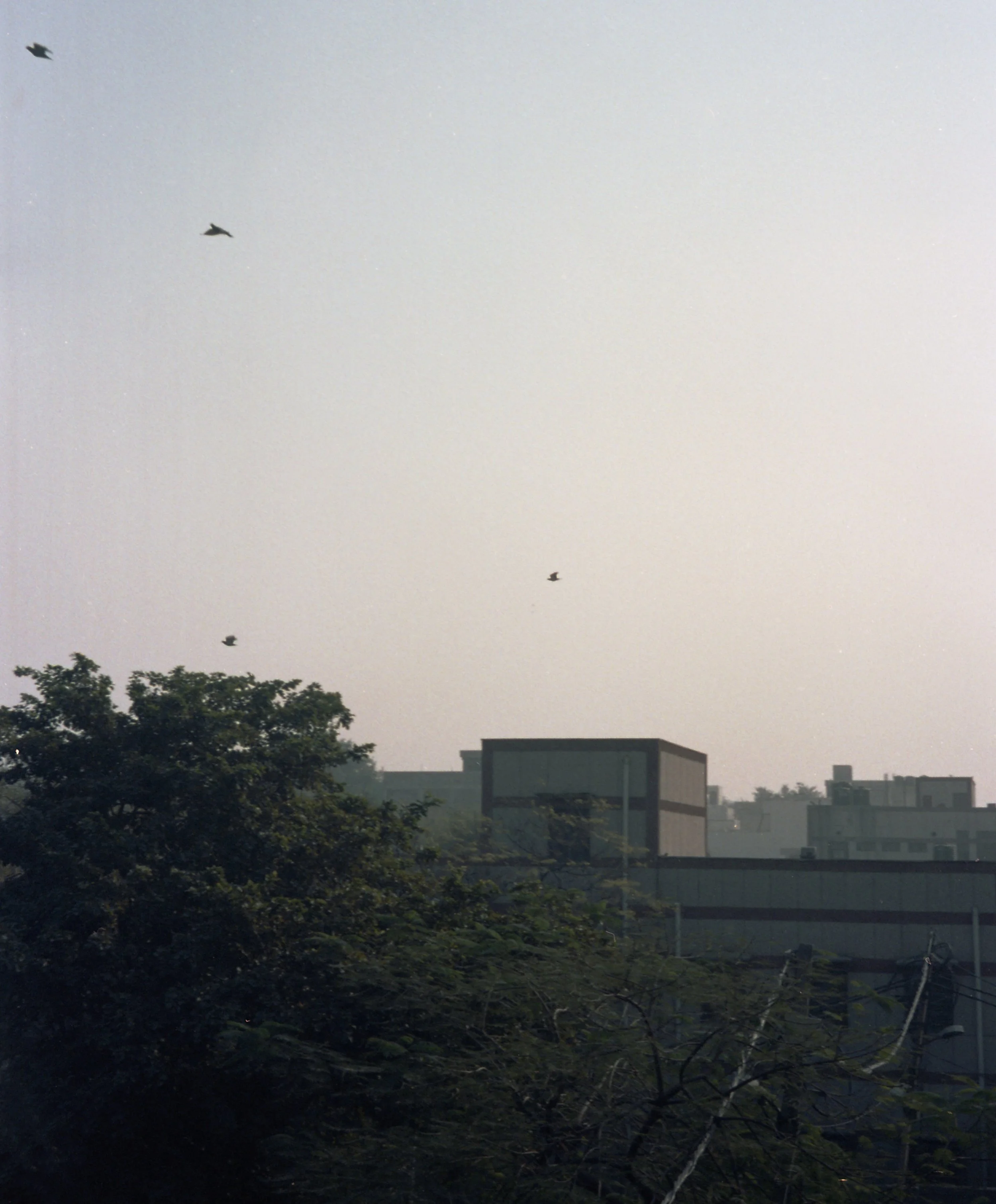 img001.jpg