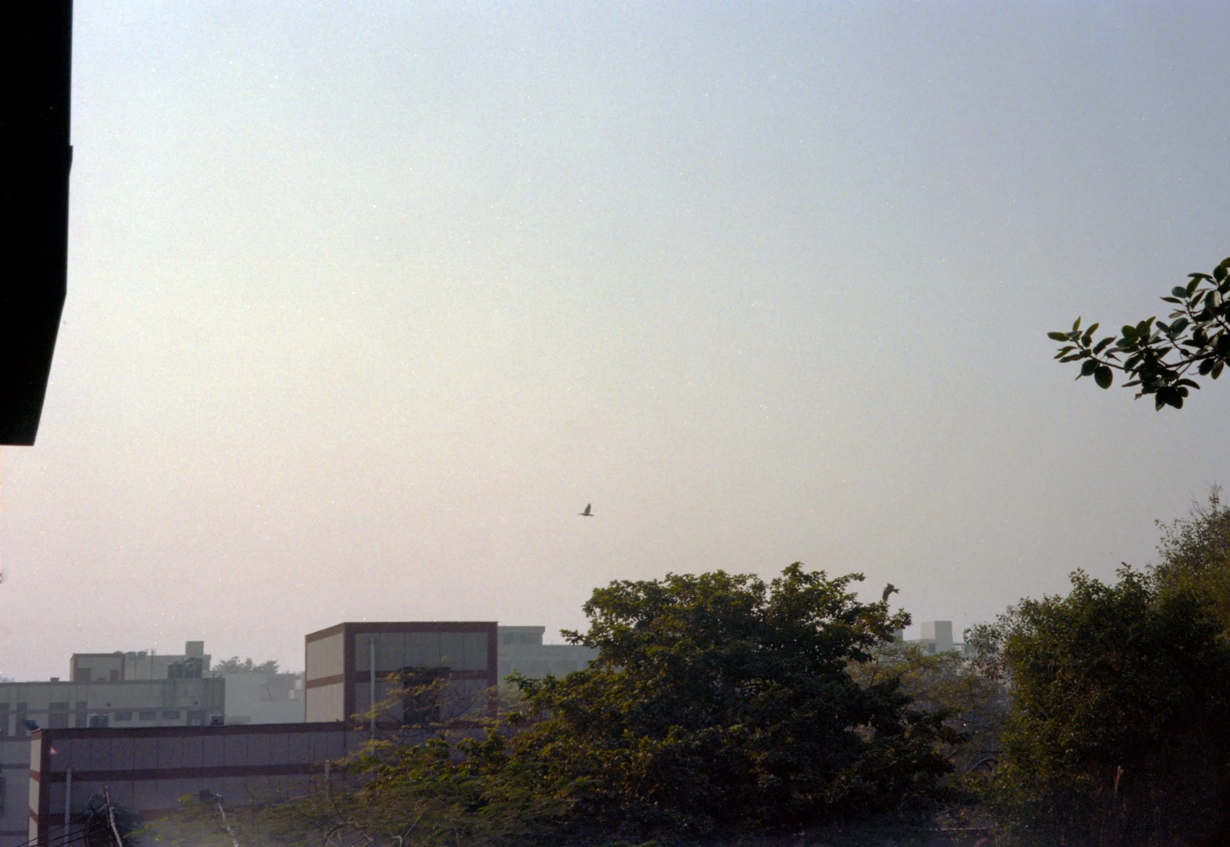 img002.jpg