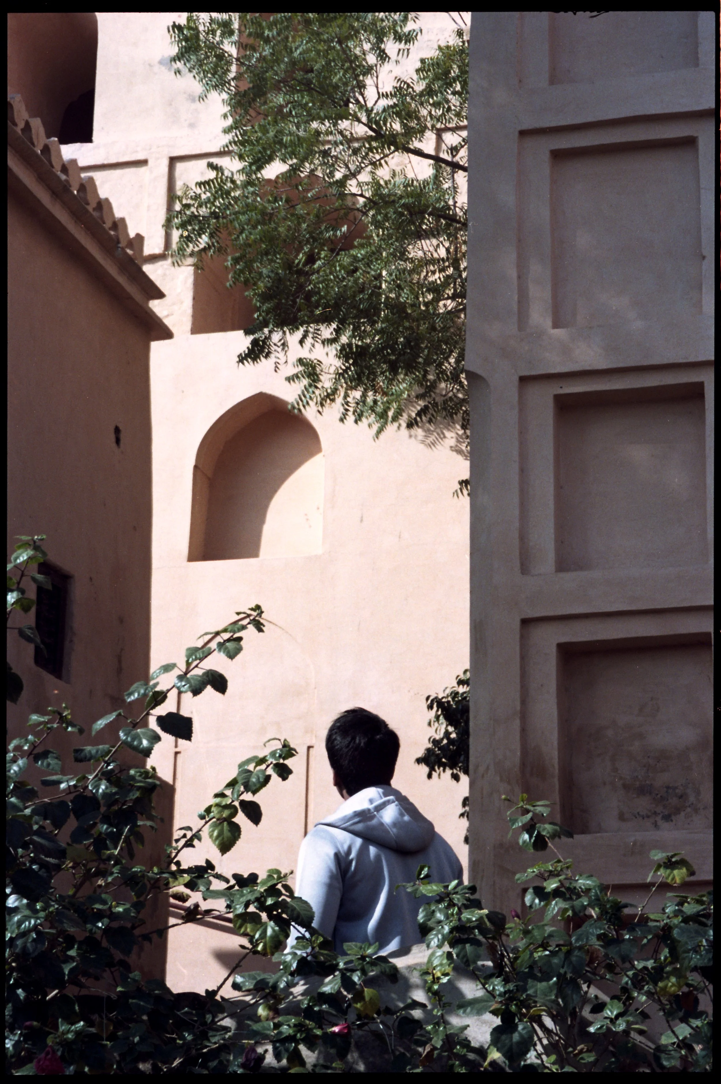 img007.jpg