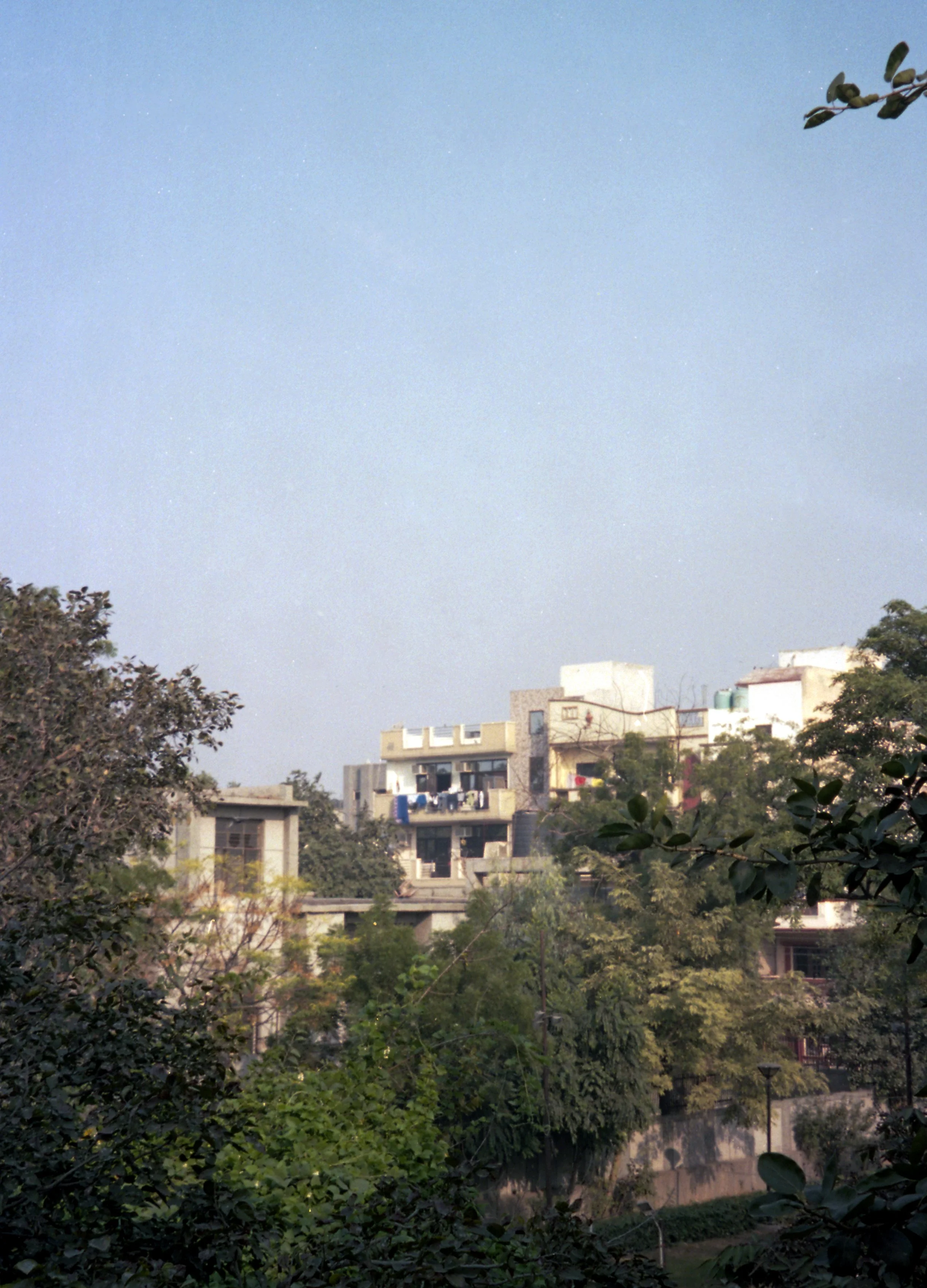img003.jpg