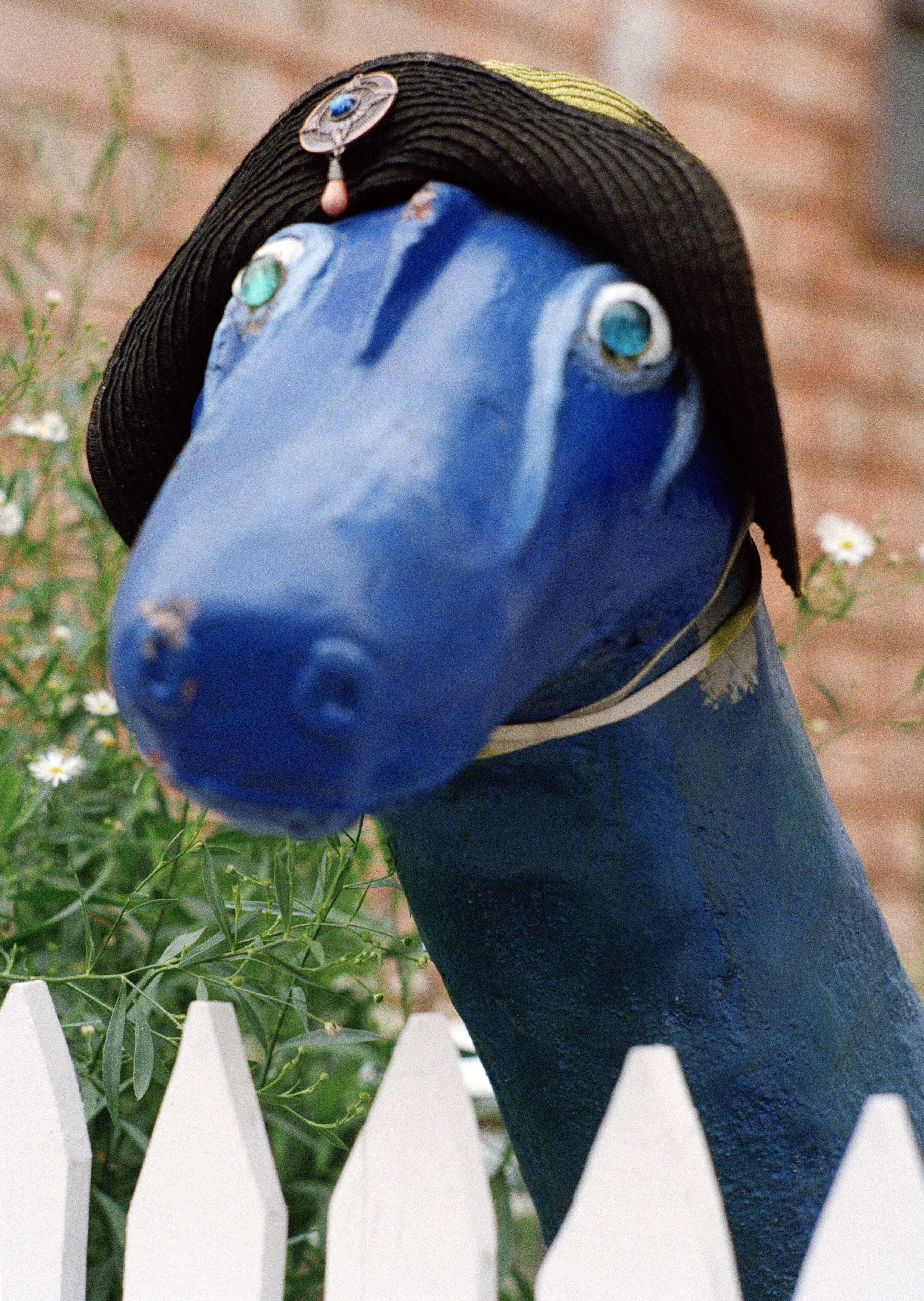Salem_005.jpg