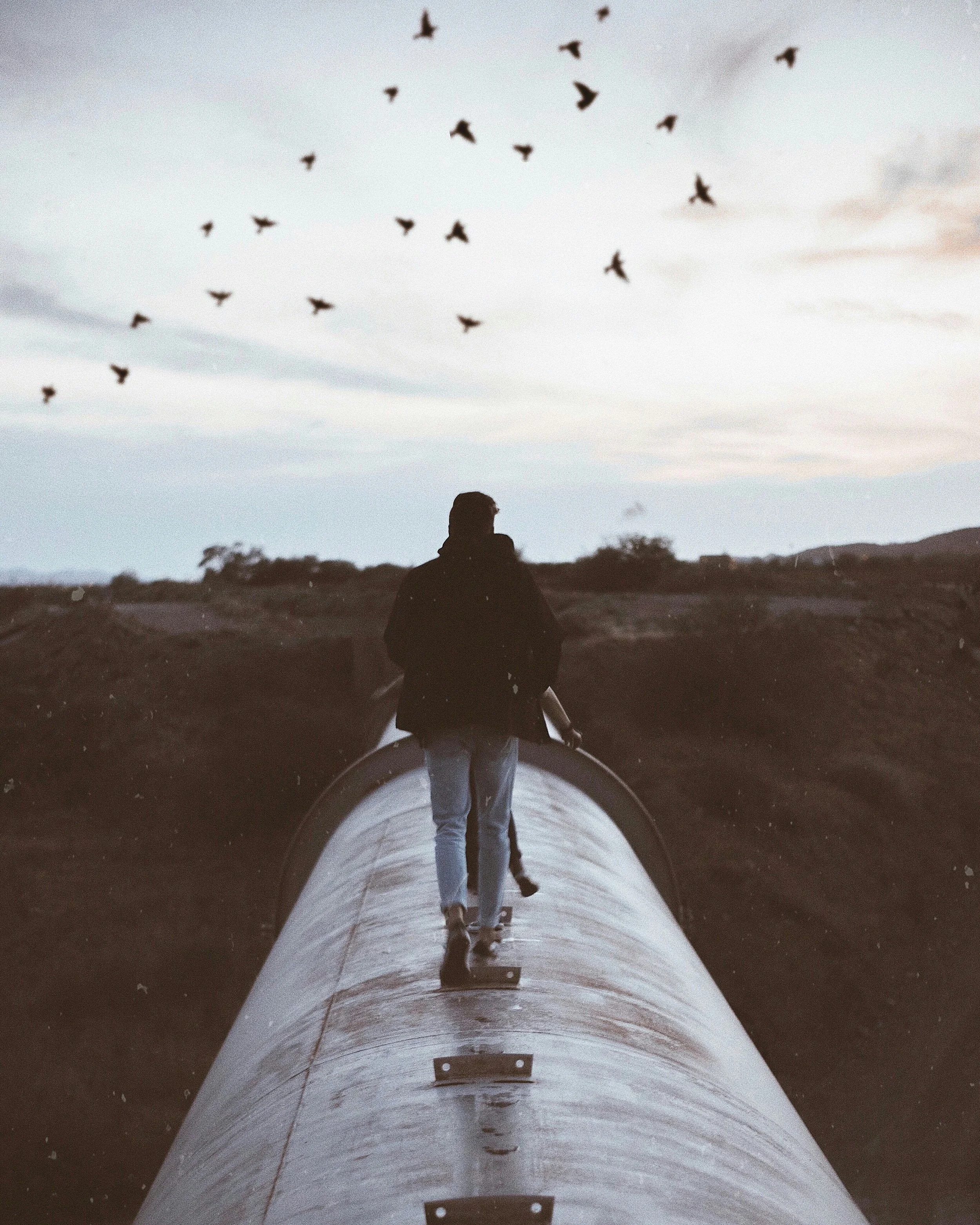 Professional immigration mental health evaluations prepared for legal proceedings.