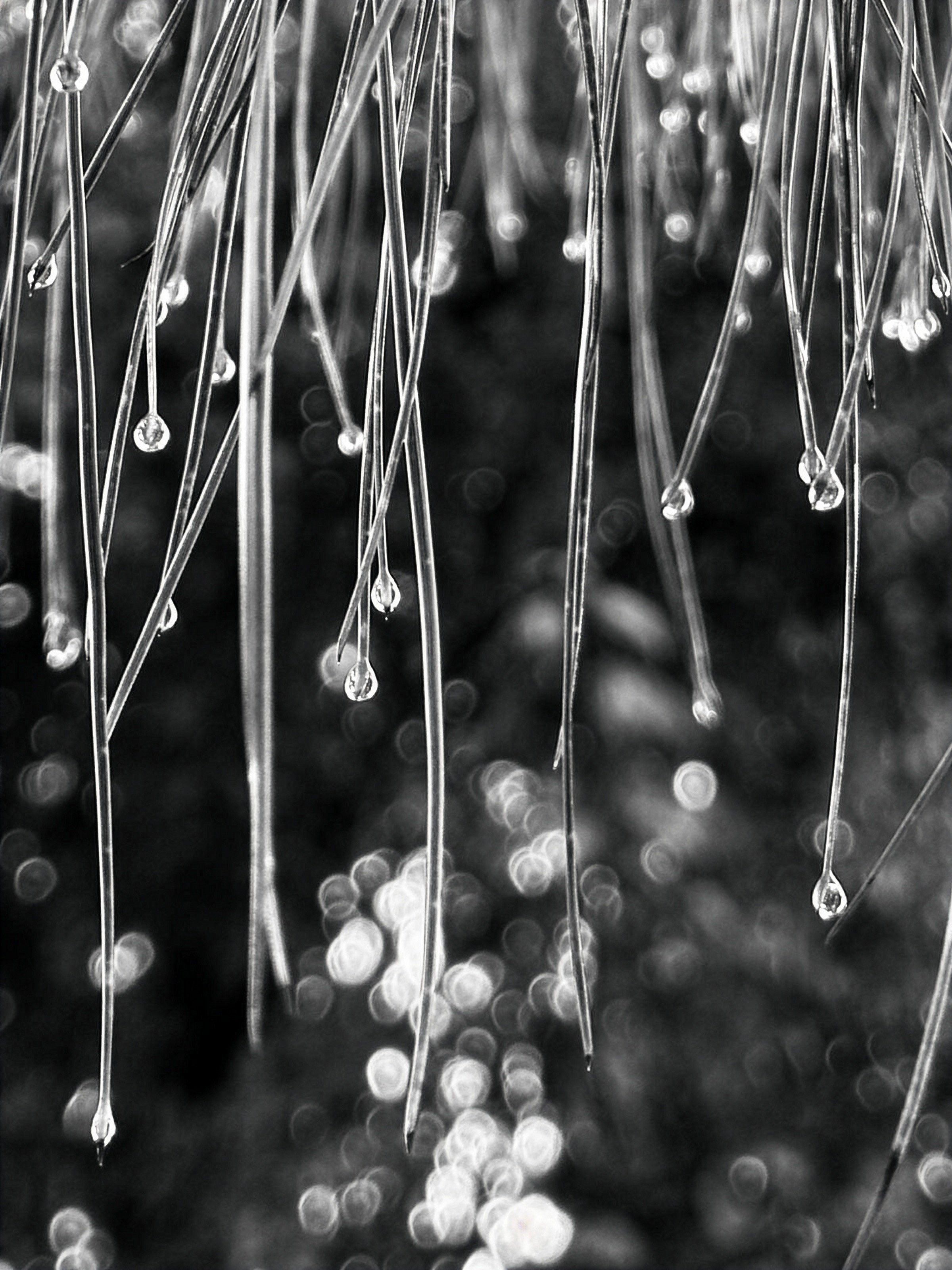 תמונה לבדיקה 2.jpg