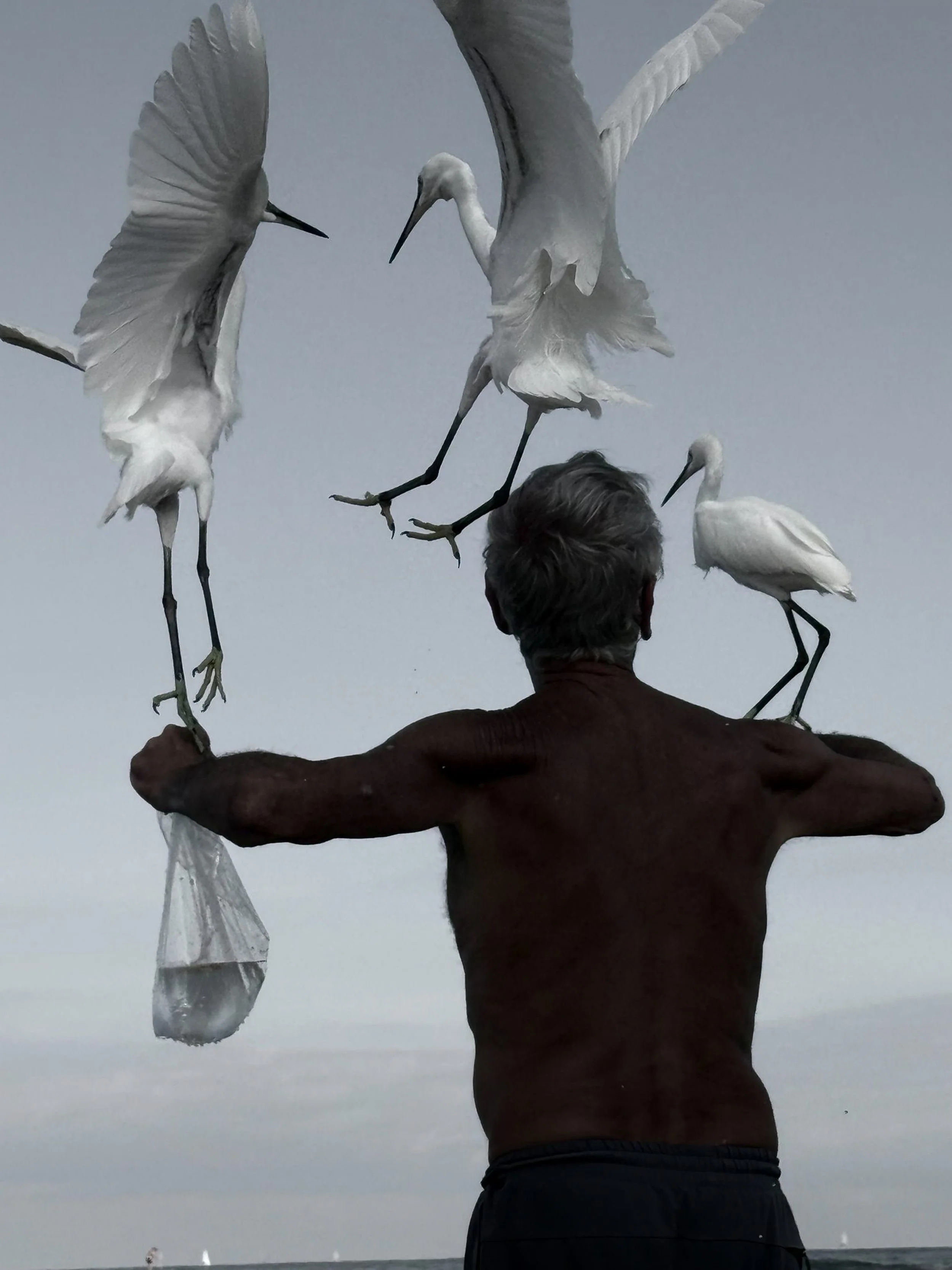 עדי ברקן טסט 2.jpg