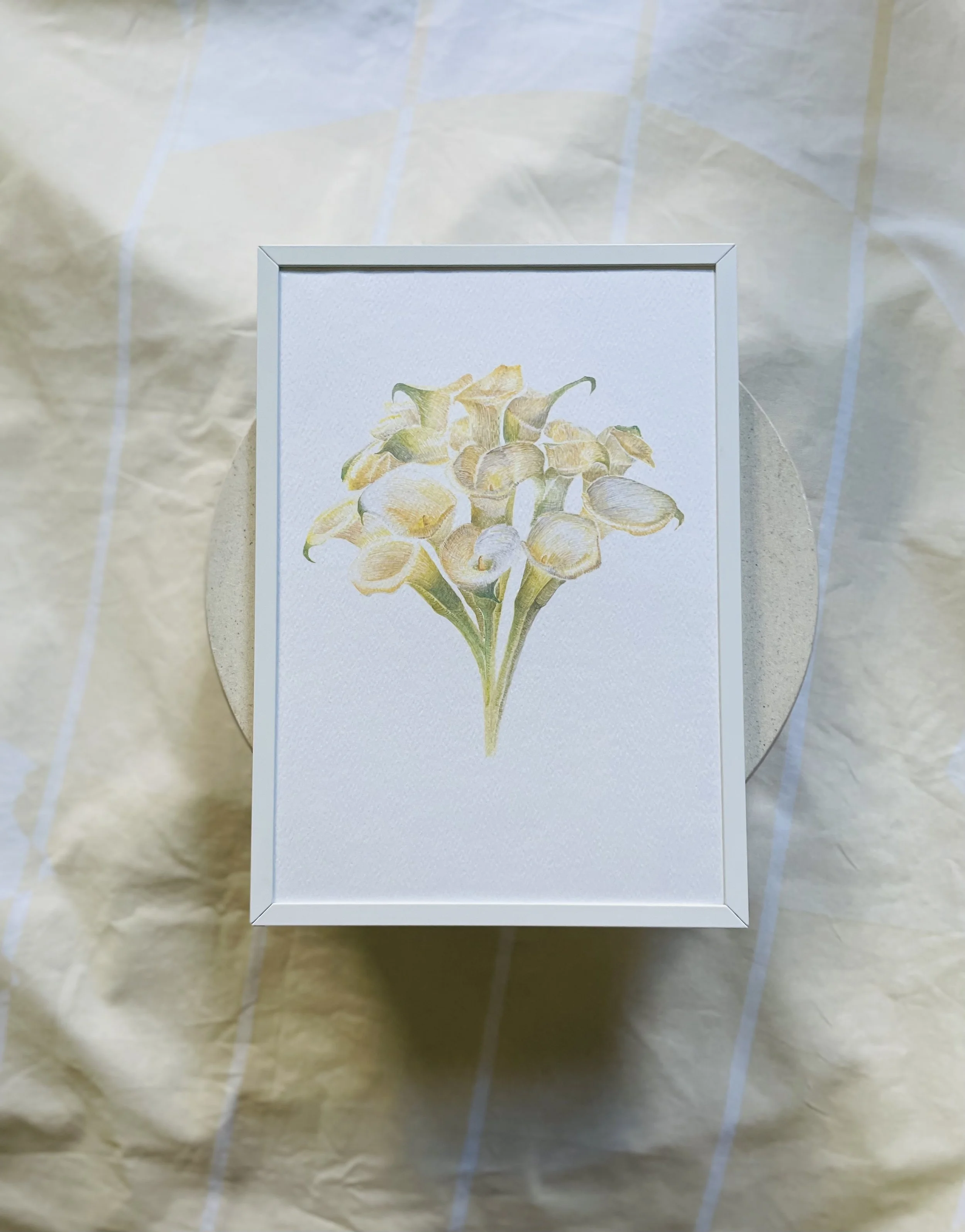 Small calla lily print