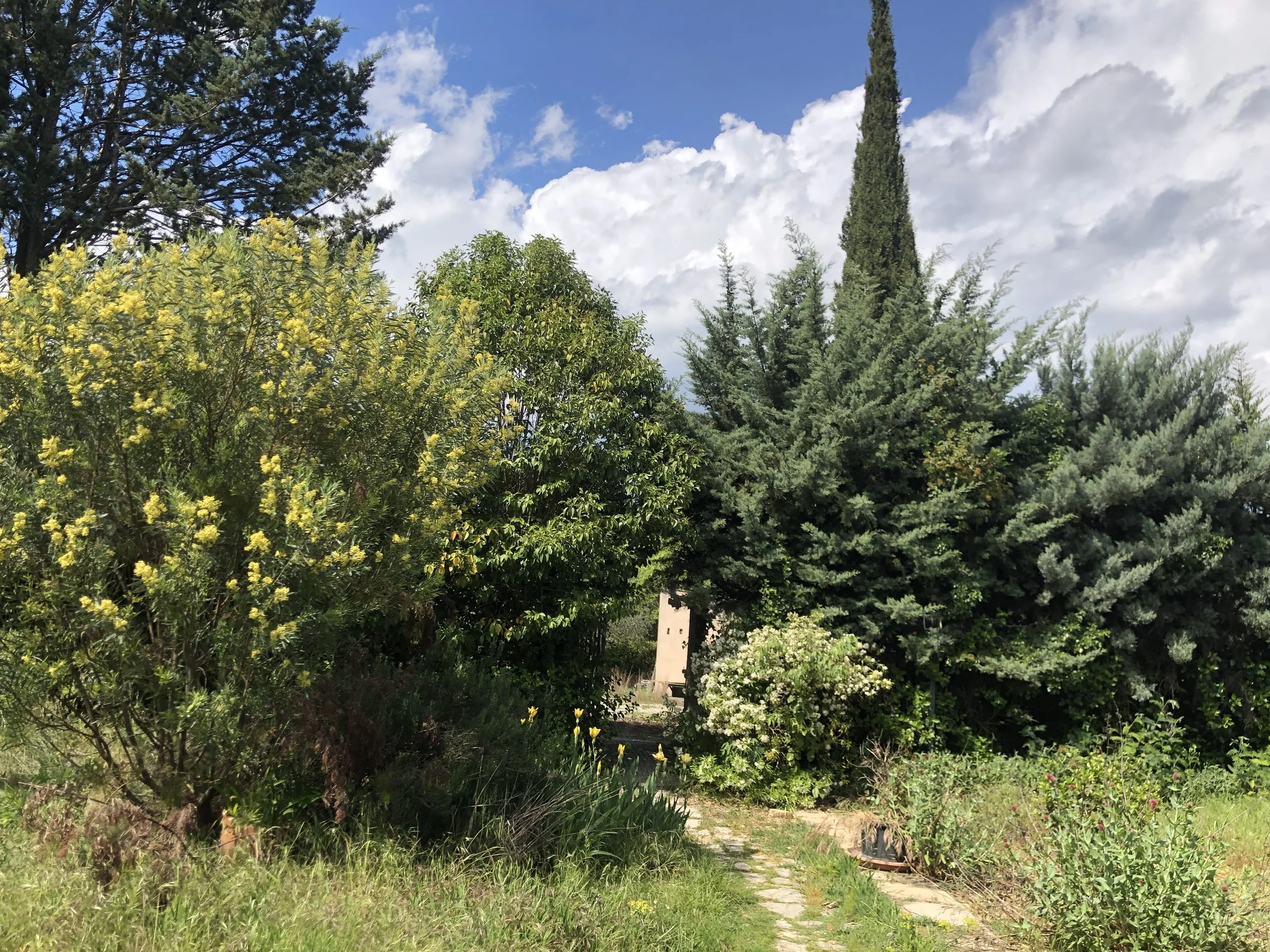 IMG_1760.jpg