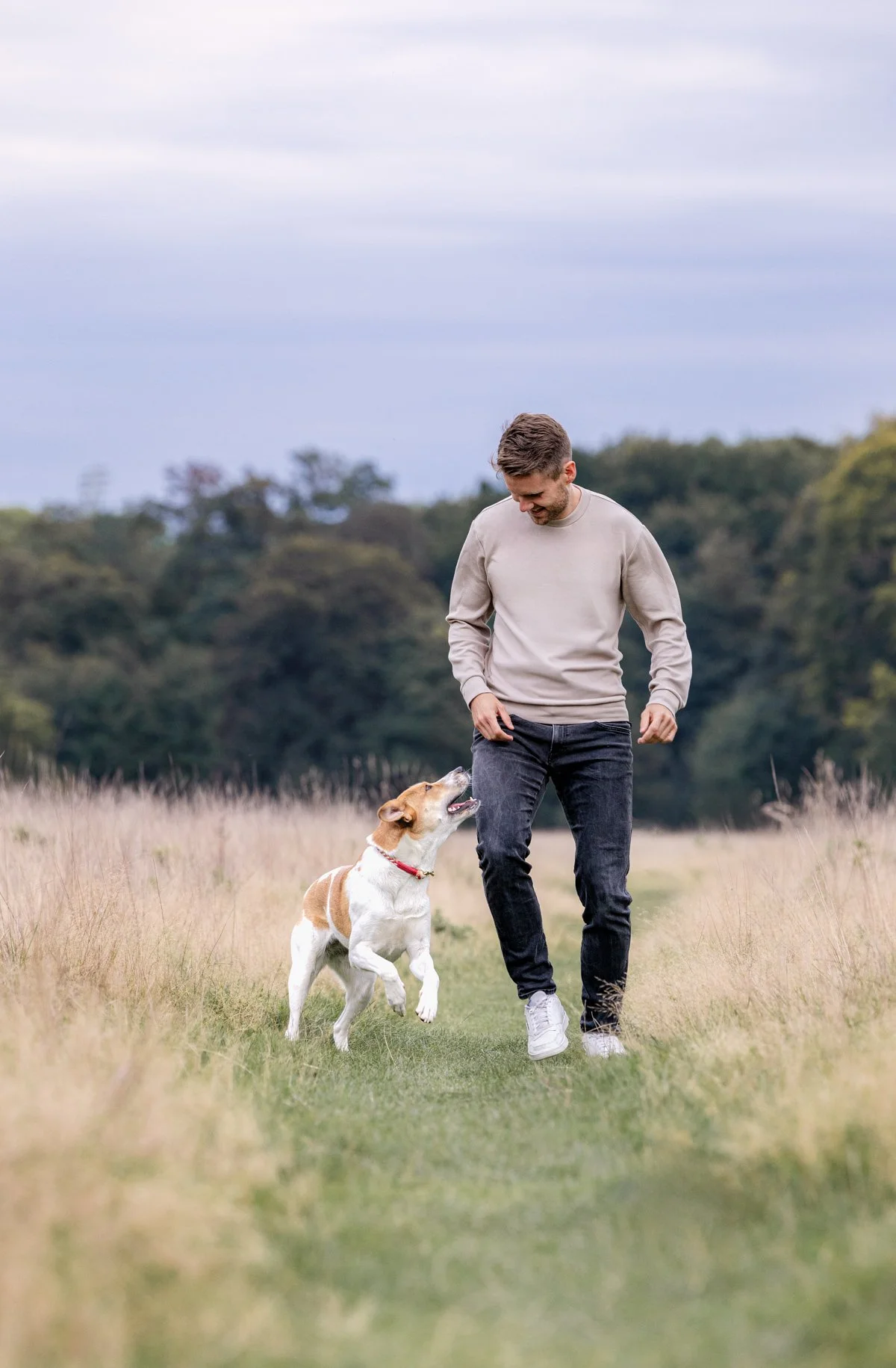 Ein Mann spielt mit einem Hund auf einem Feld bei sonnigem Wetter.