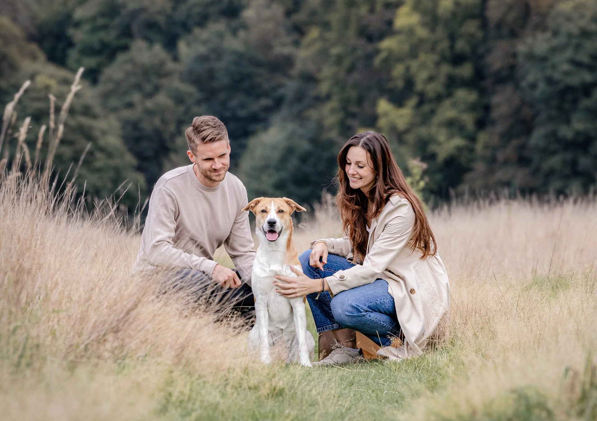 Ein Mann und eine Frau sitzen im Feld und streichen einem Hund über den Kopf, während der Hund freundlich schaut.