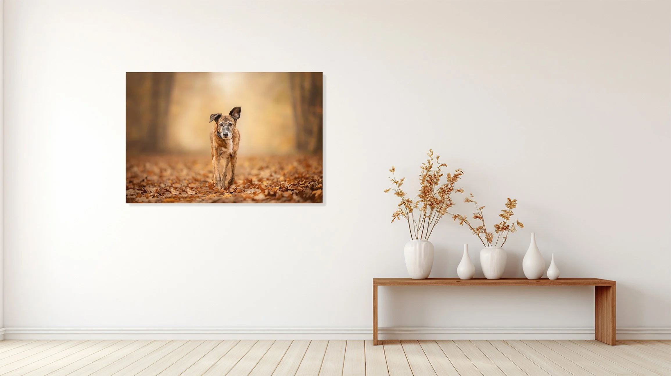 Ein modernes, minimalistisches Wohnzimmer mit einer weißen Wand, auf der ein gerahmtes Bild von einem Hund im Herbst auf einem Laubweg hängt. Rechts daneben auf einem Holztisch befinden sich sieben weiße Vasen mit getrockneten Blumen.